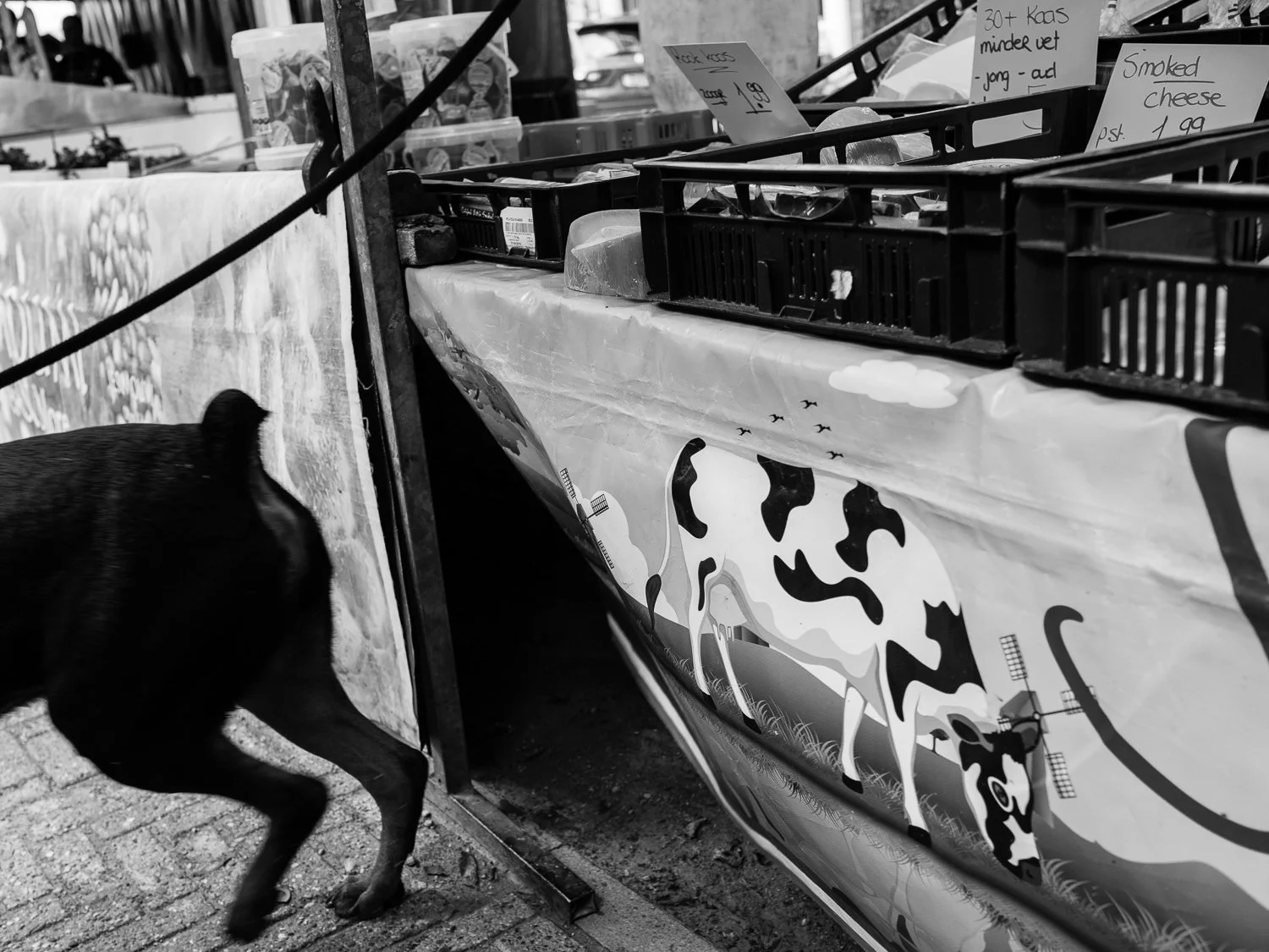 fokko muller street photography - 180908 - 013.jpg