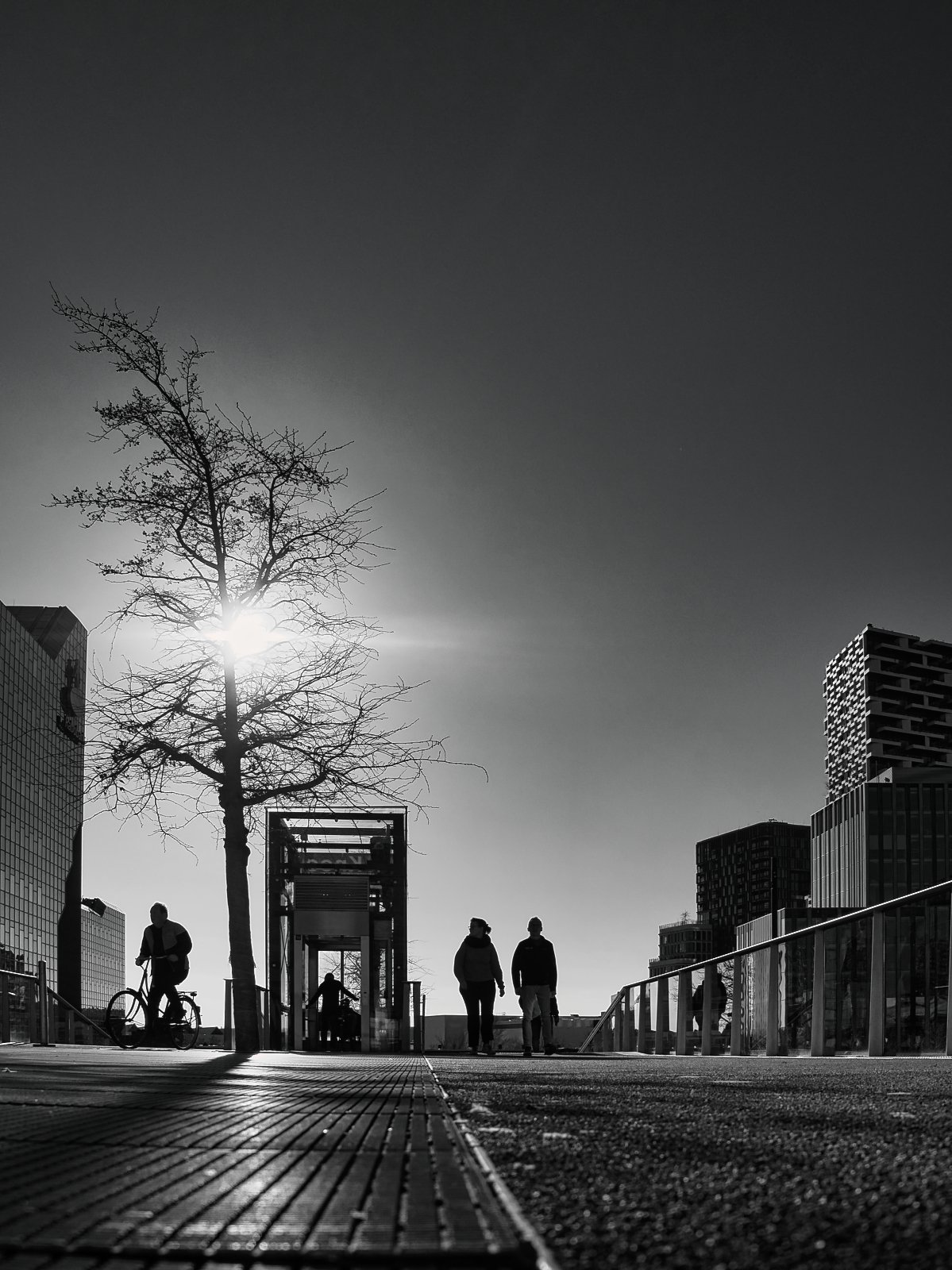 Fokko Muller Utrecht 2025-03-09 01 .jpg