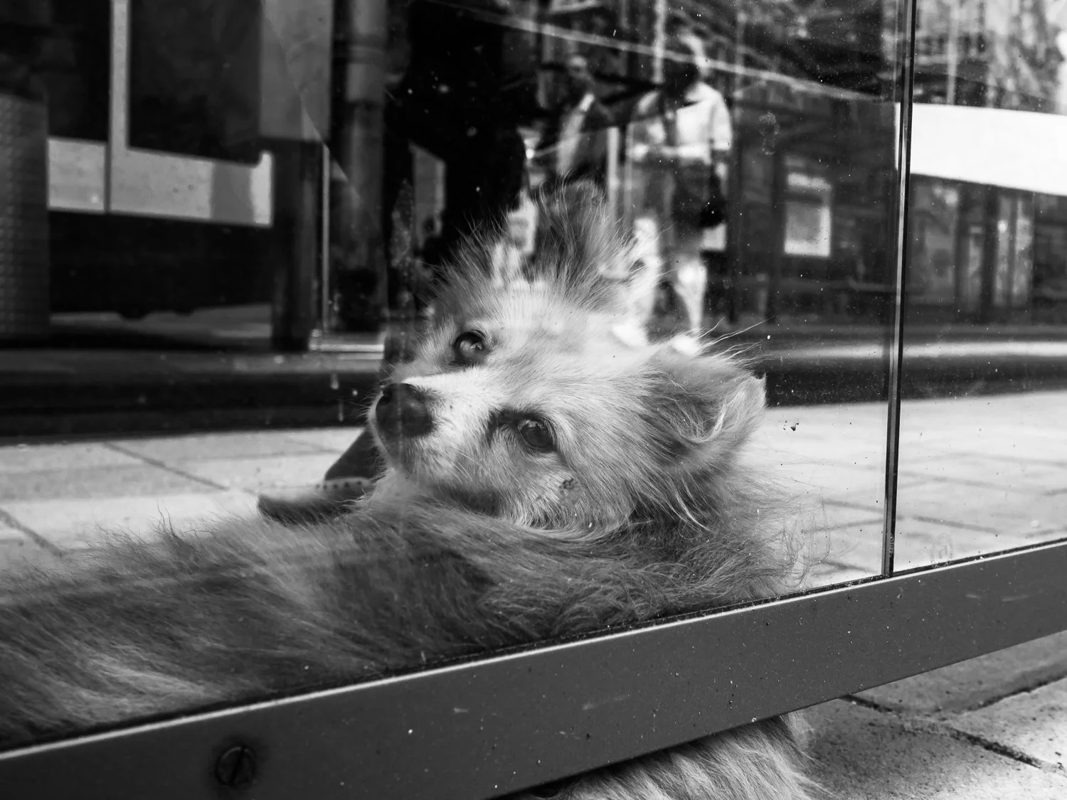 fokko muller street photography - 140628 - 007 - kopie.jpg