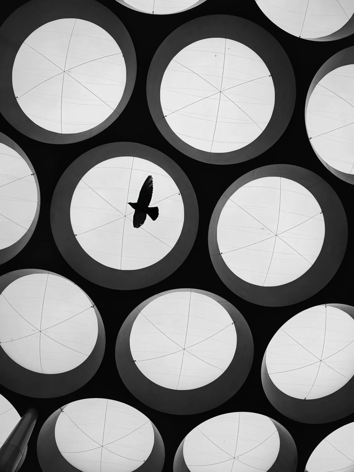 Fokko Muller Utrecht 2025-01-25 02 .jpg