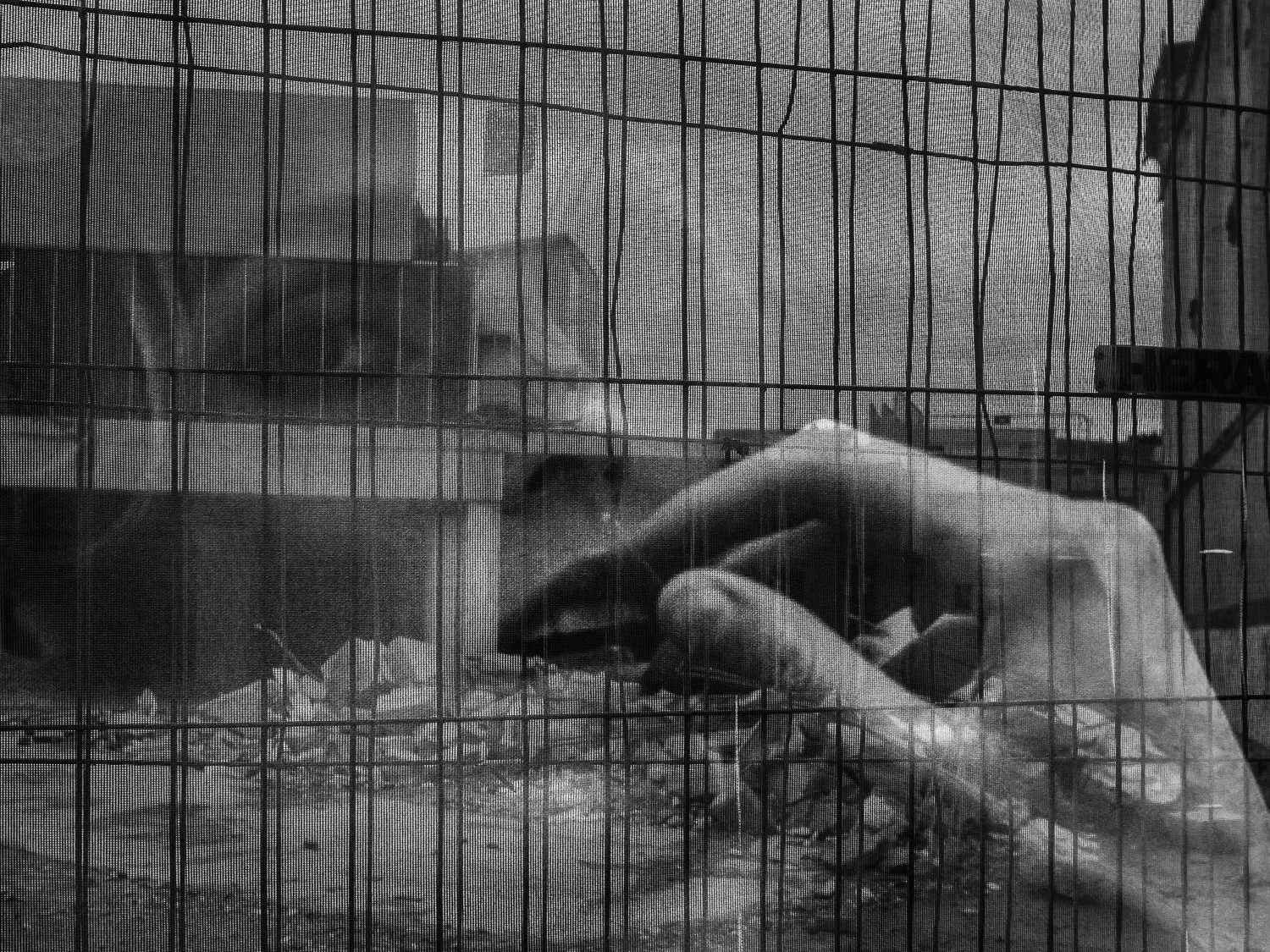 fokko muller street photography - 170729 - 004.jpg