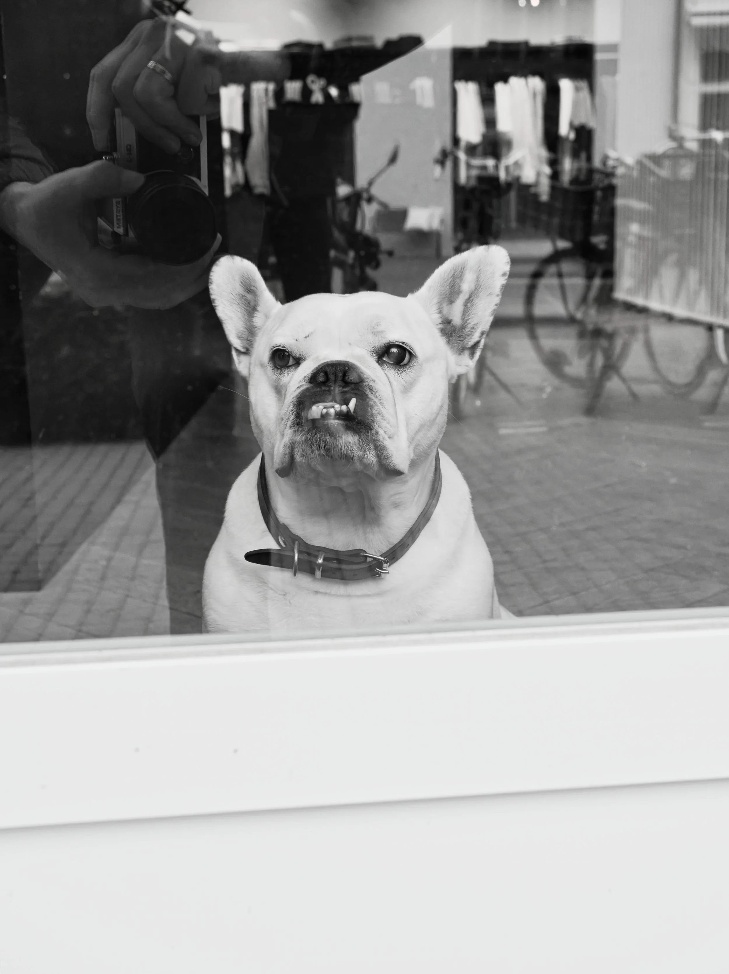 Fokko Muller Zwolle 2025-02-14 23 OM-3 highres.jpg