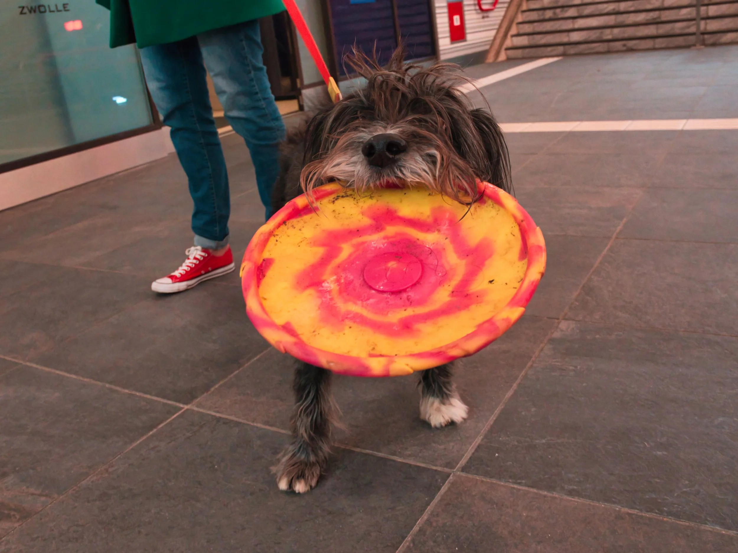 Fokko Muller Zwolle 2025-02-14 30 OM-3 highres.jpg