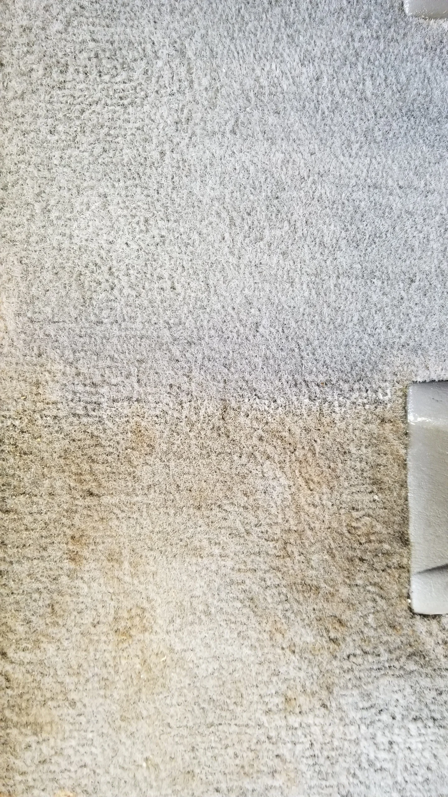 2019-05-08+10.14.12.jpg