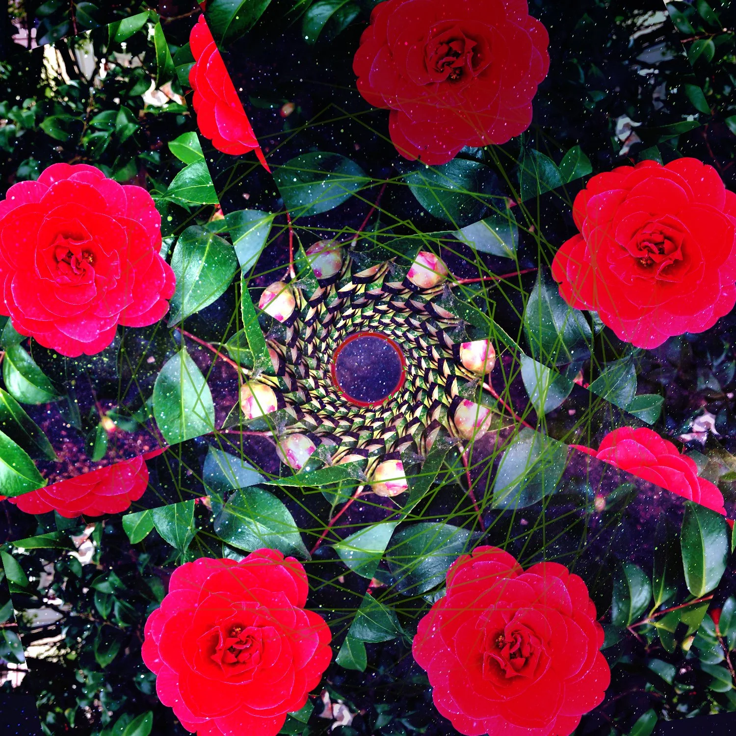 springcollage_0000_dark spring.JPG