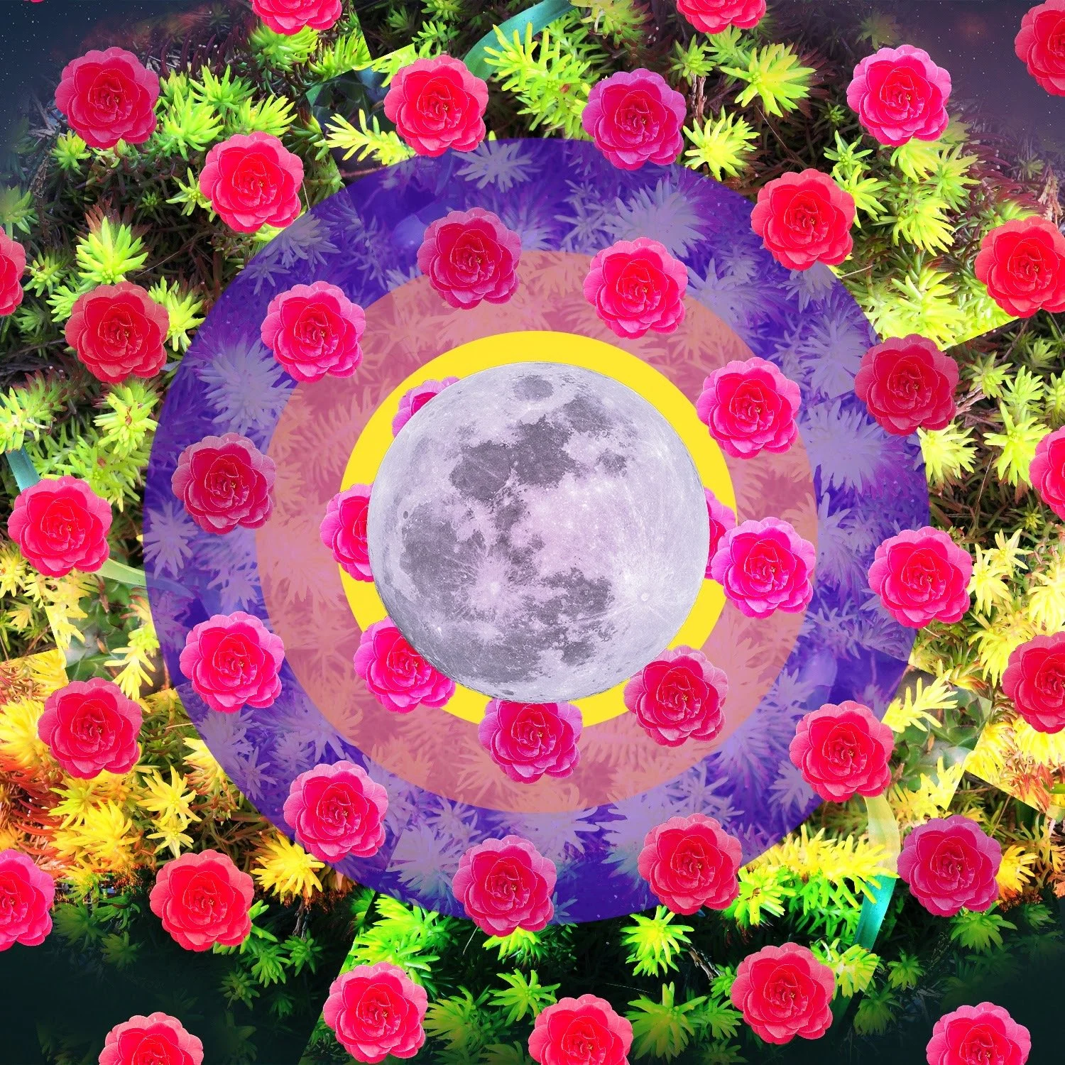 springcollage_0002_space spring.JPG