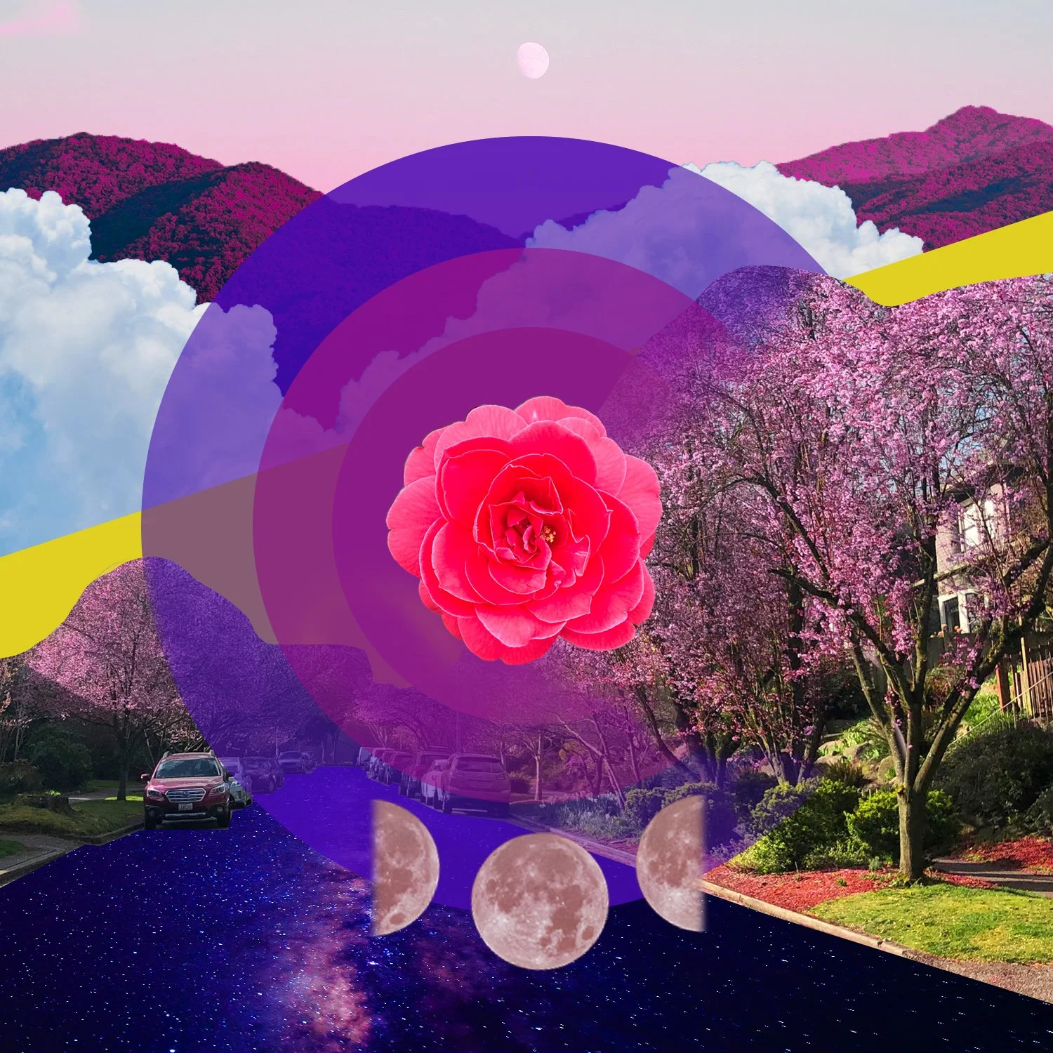 springcollage_0003_spring collage.JPG