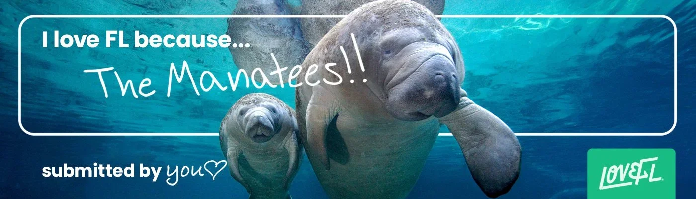 VFNotesOOH_Manatees_1400x400.webp