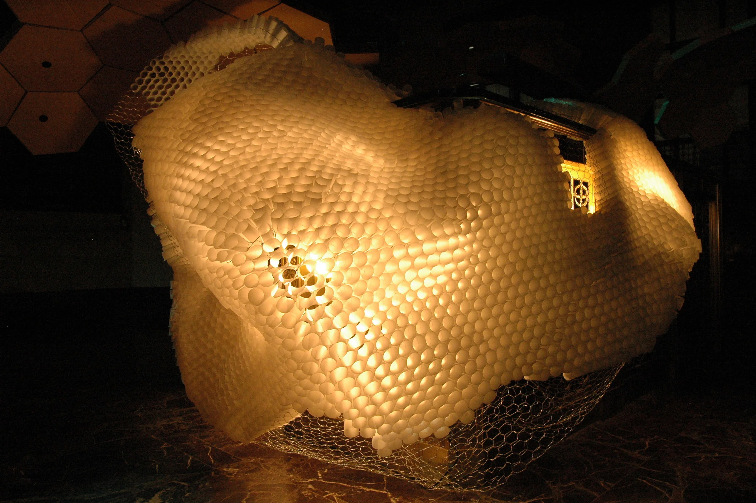 DSC_0668.JPG