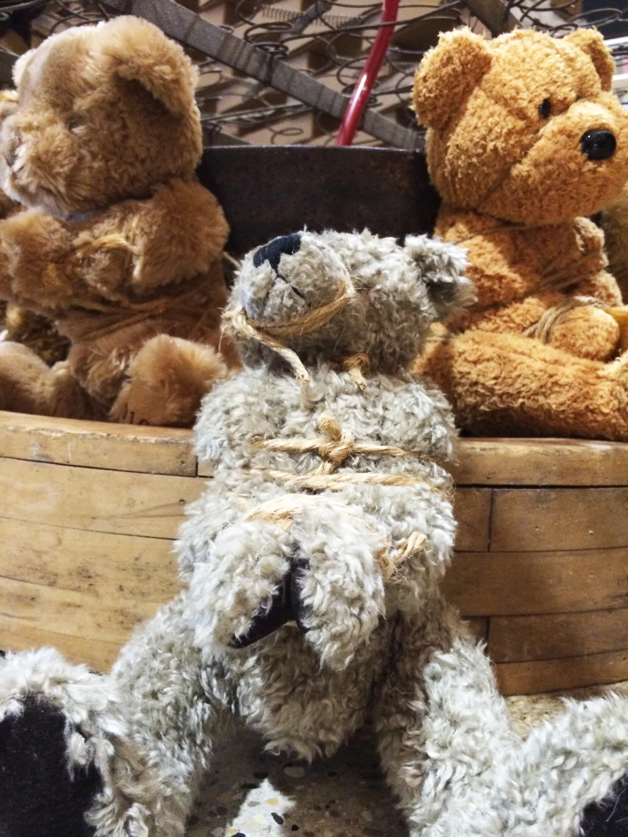 bear wheel.JPG