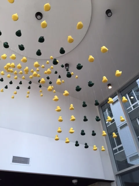 EUGENE_angle view.JPG