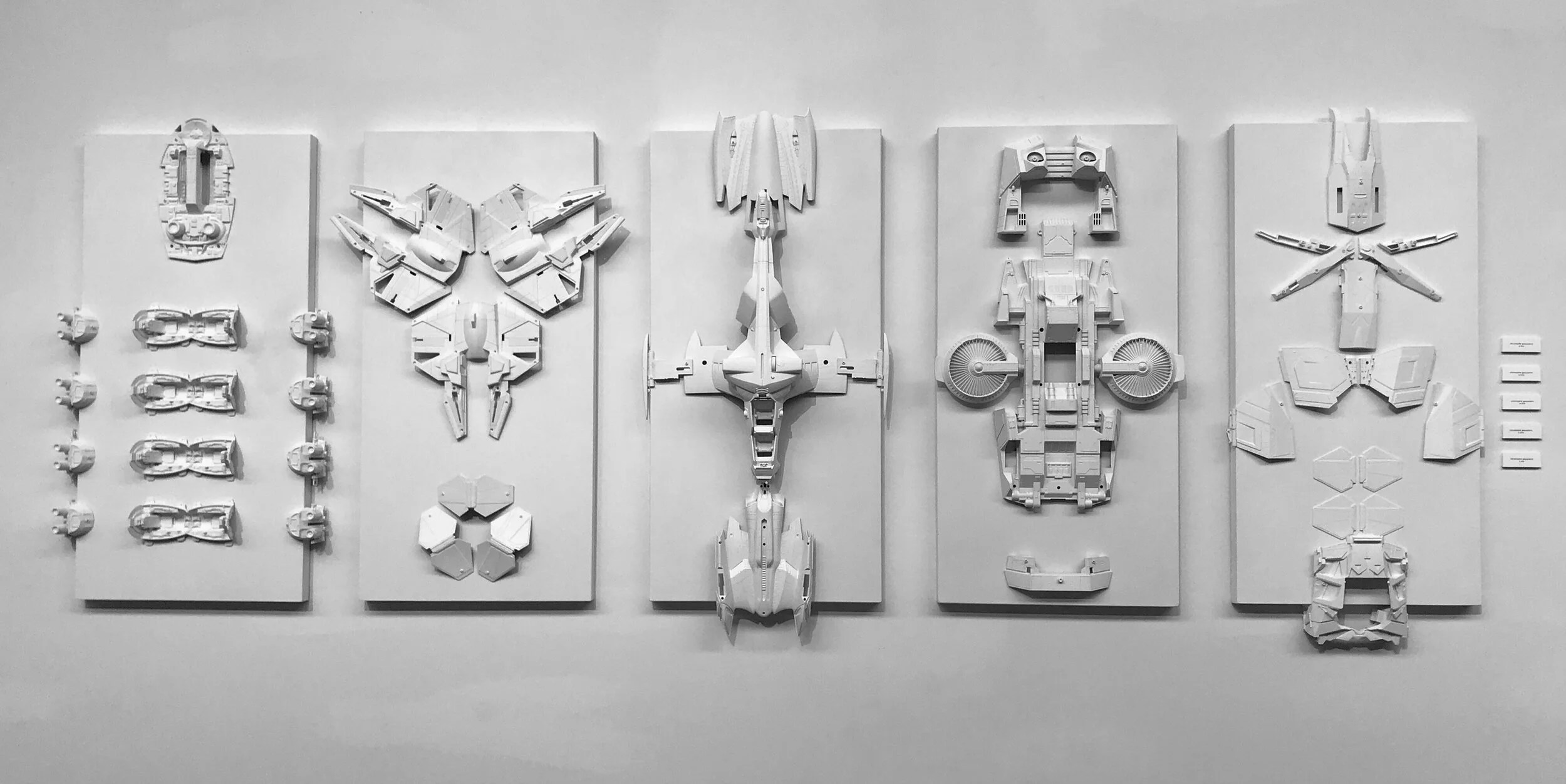 future fossils_main.JPG