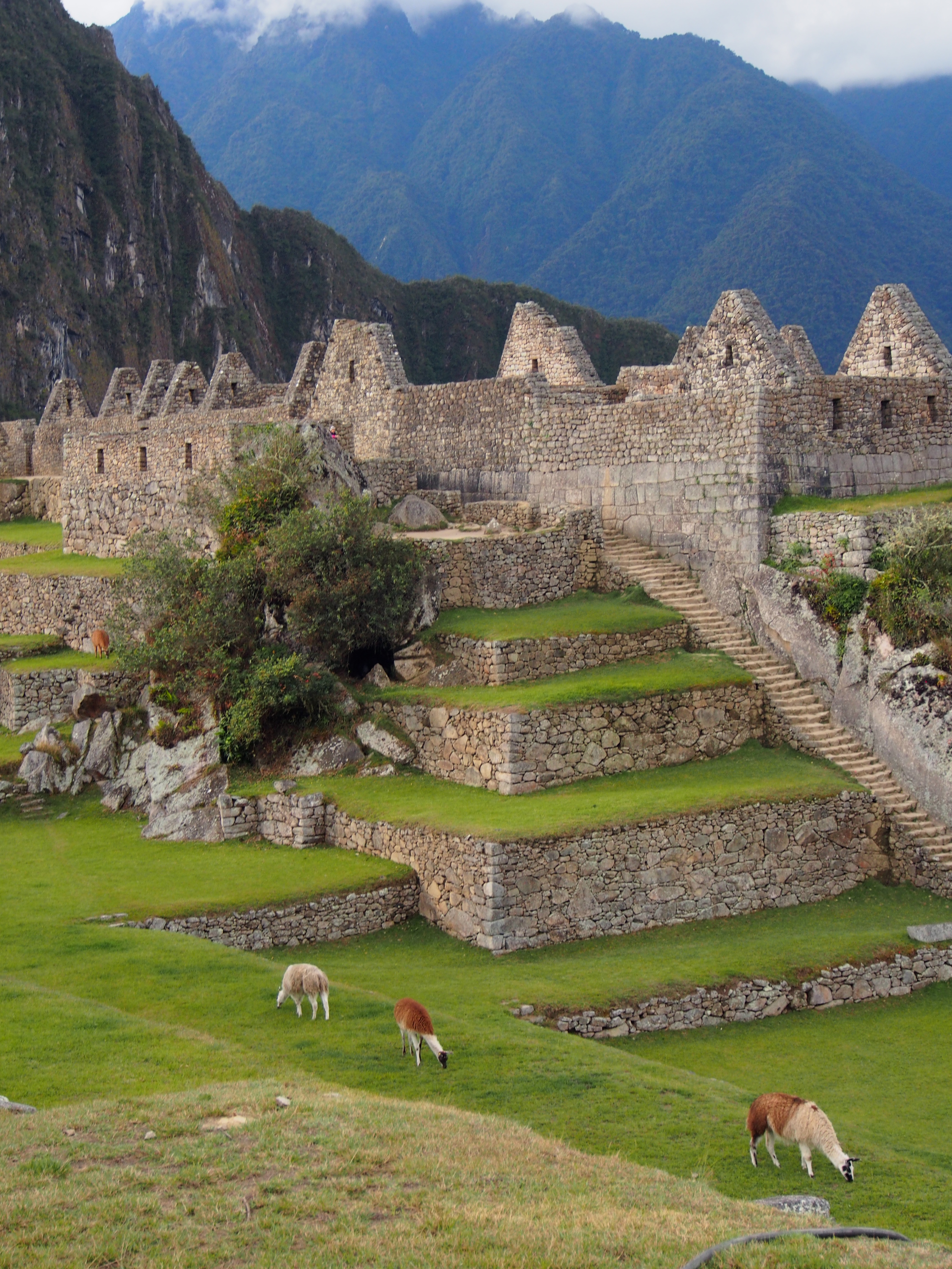 Machu Picchu
