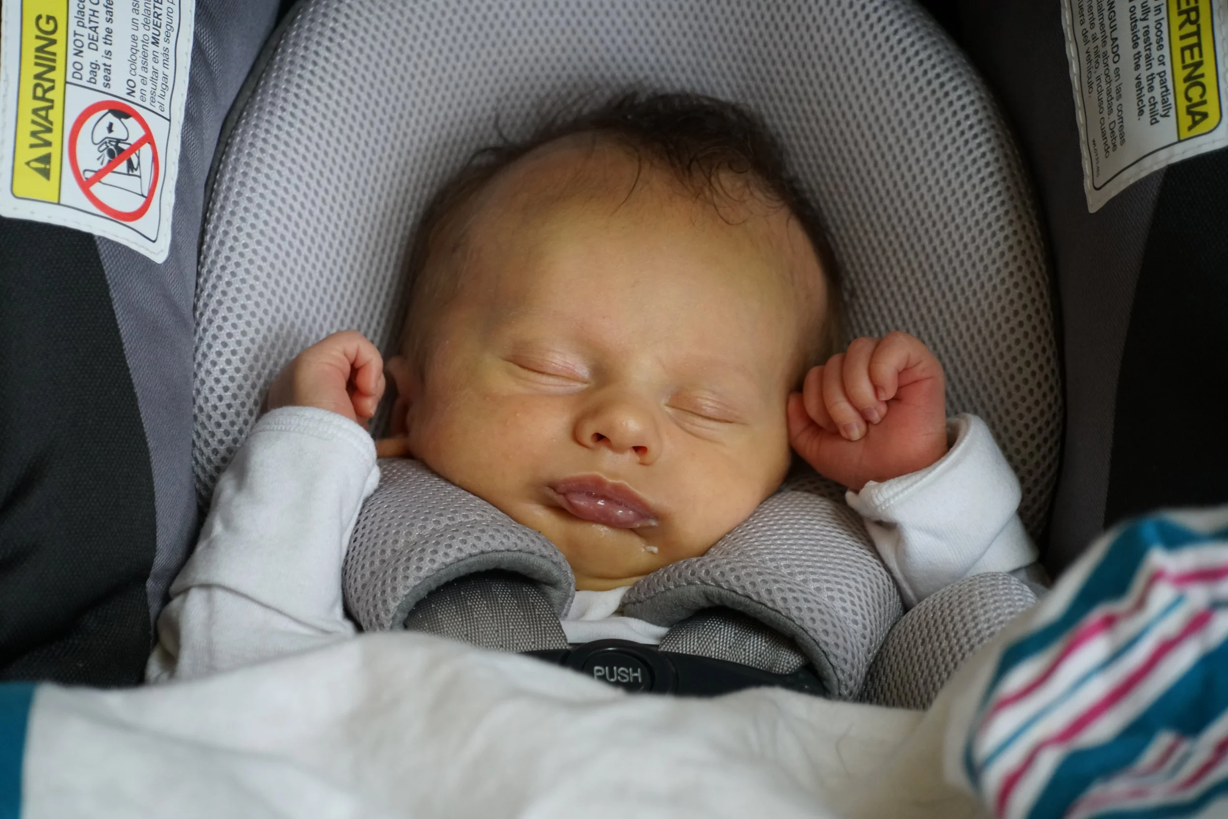 Our first introduction to baby Edison.