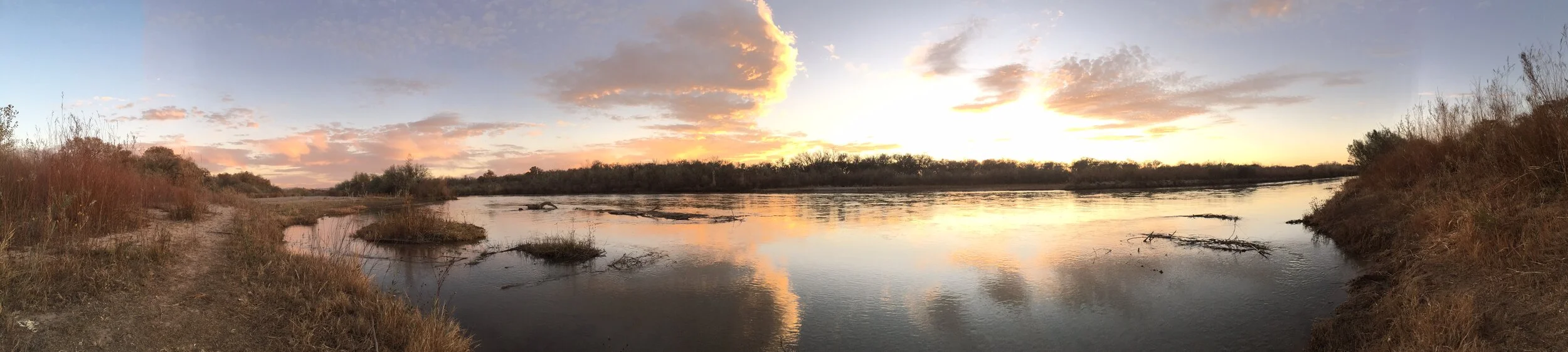 2020 Audio-Postcard from the Zoo House