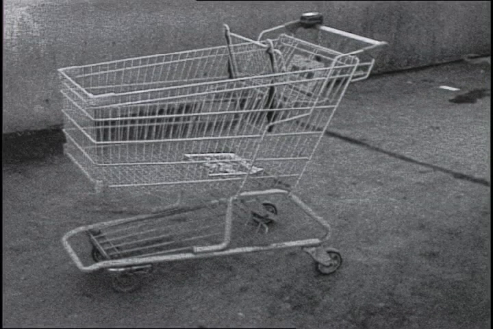 vlcsnap-2013-12-02-17h32m35s10.png