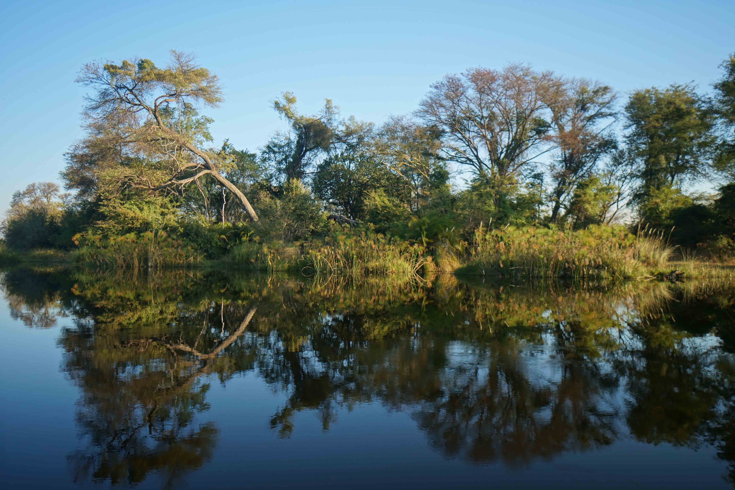 Day 1 - Okavango 2.jpg