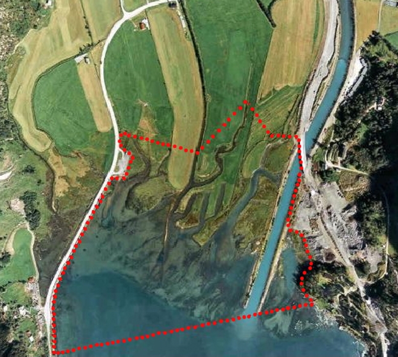 Air photography of the delta Bøyaøyri. The borders of the nature reserve are marked red (Photo: Fotonor).