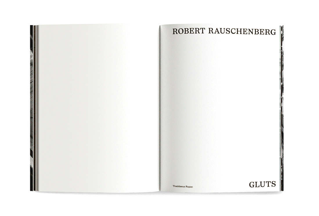 RAUS_DOBLES.gif