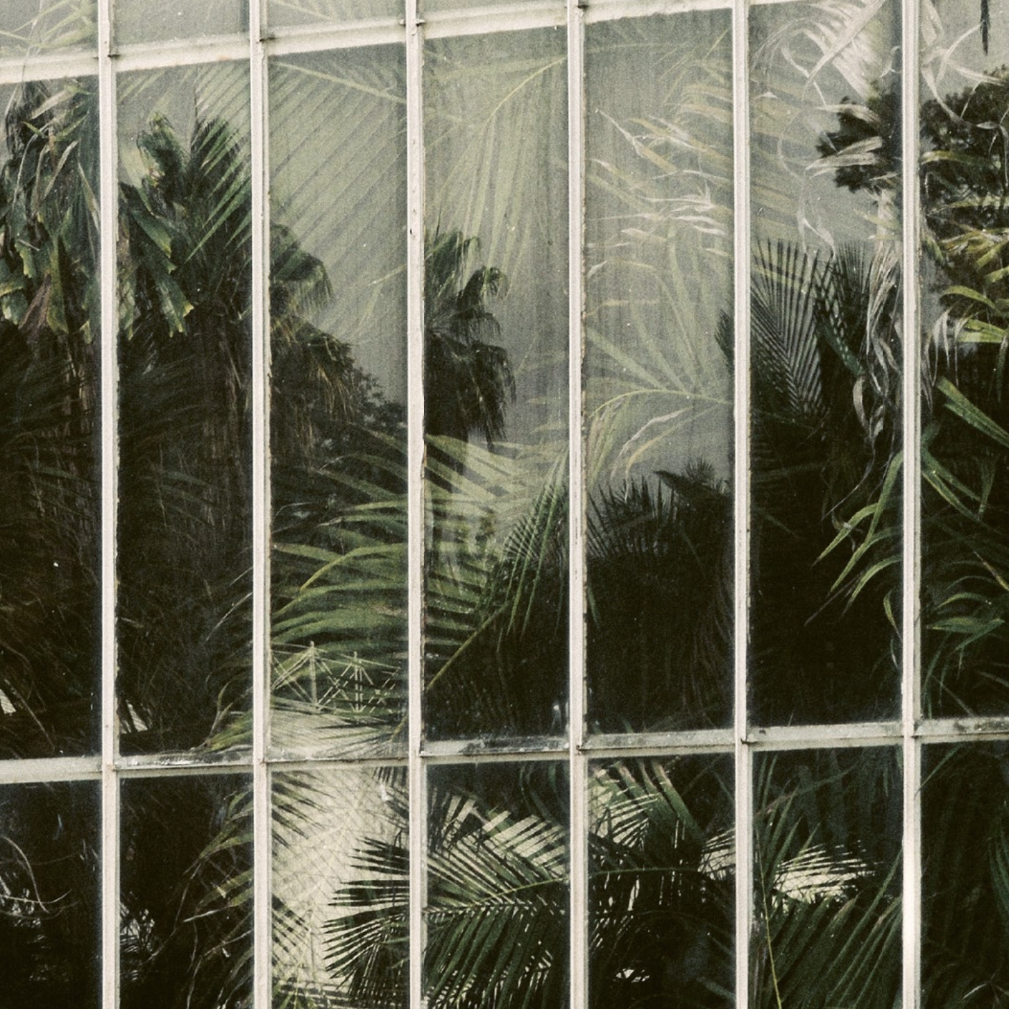 Captura de pantalla 2025-10-02 a las 1.59.02 p. m..png