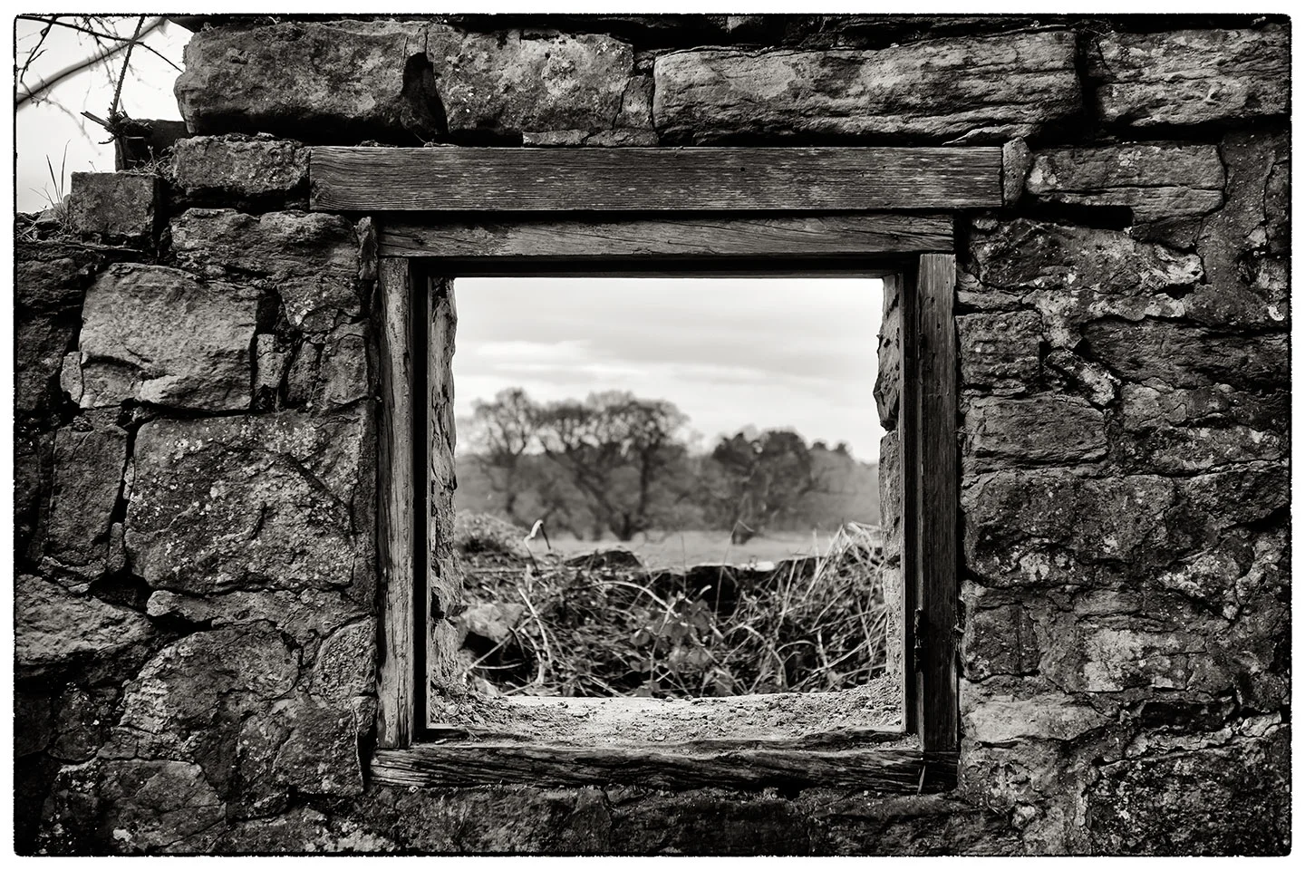 Square_window_0990.jpg