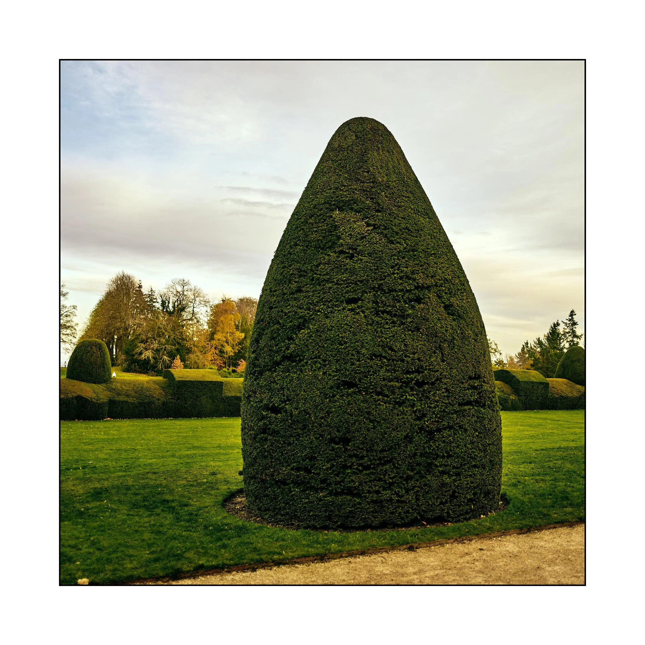 Topiary_25650.jpg