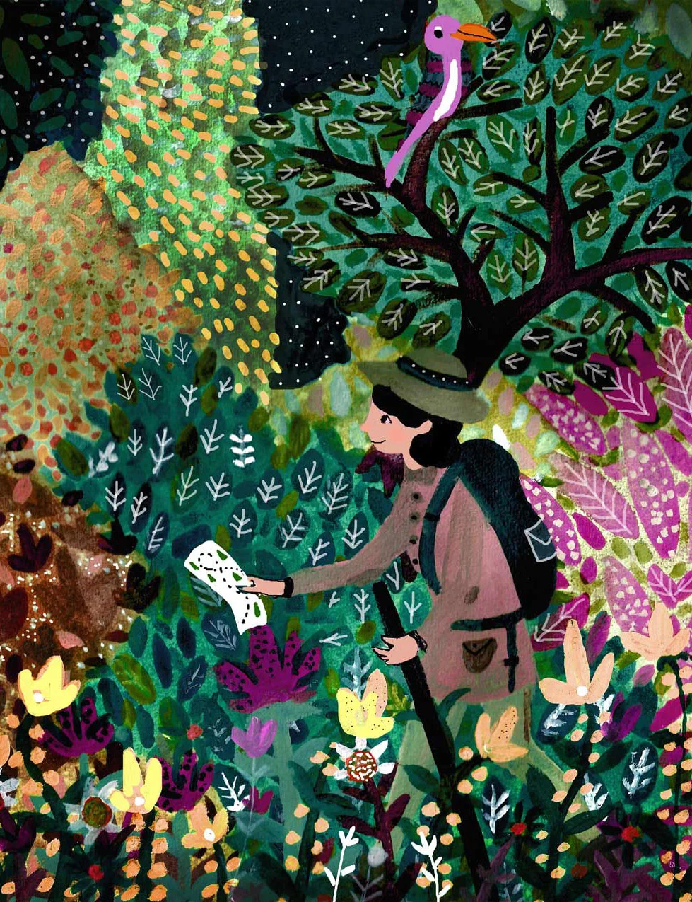 jungle-explorer.jpg