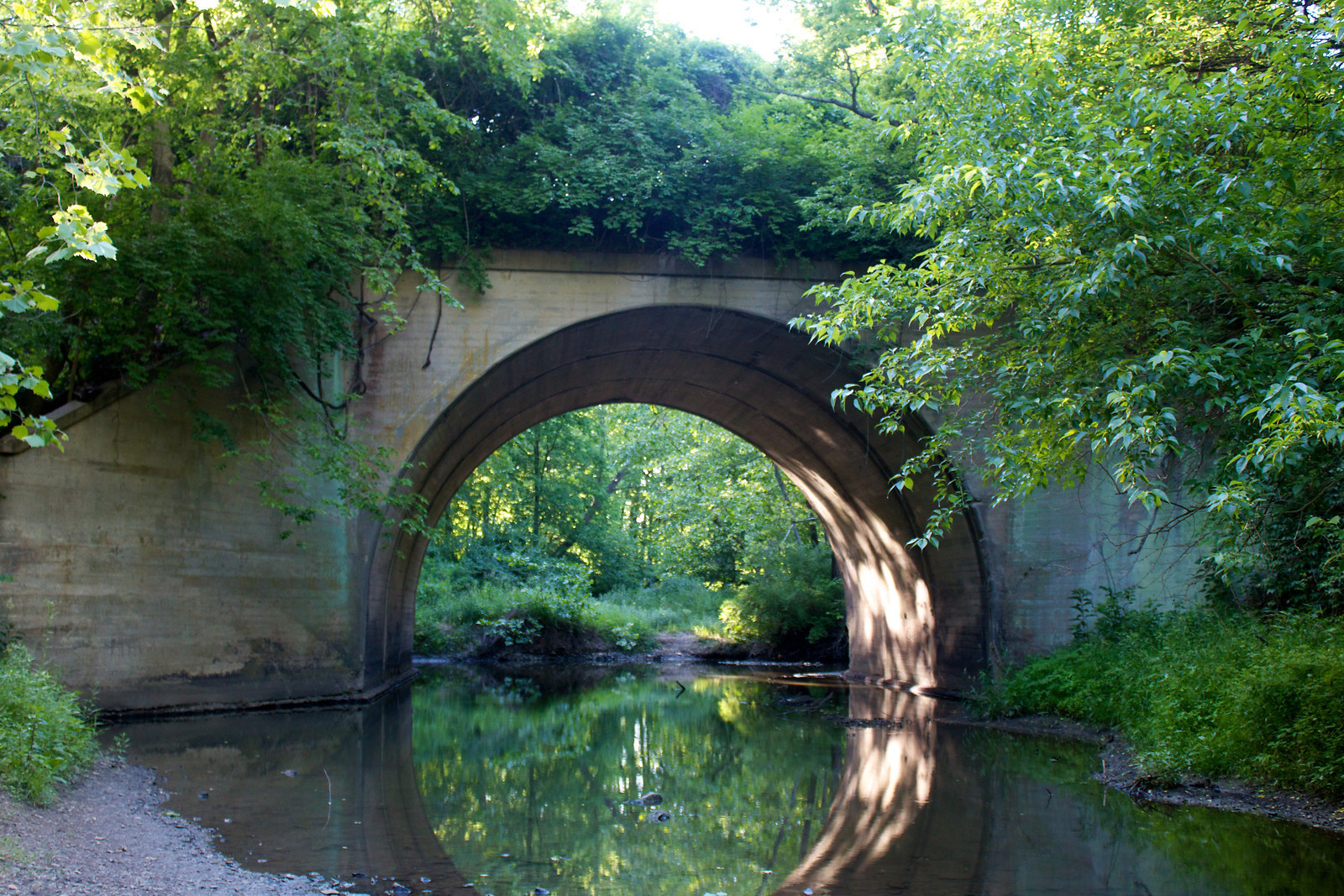      

 
  Martha LaFite Thompson Nature Sanctuary
 






















     