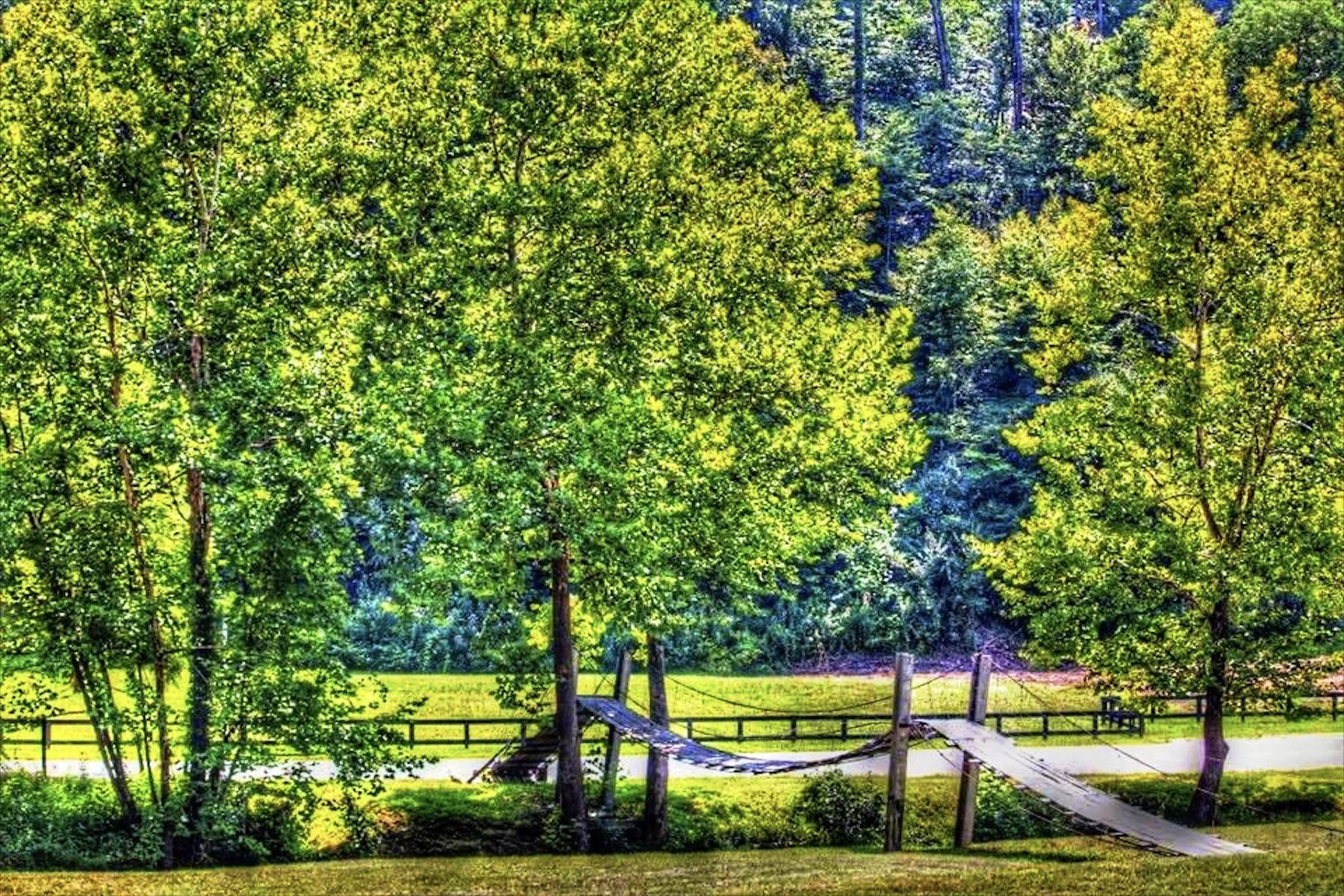 Screen Shot 2021-01-14 at 11.52.48 AM.jpeg