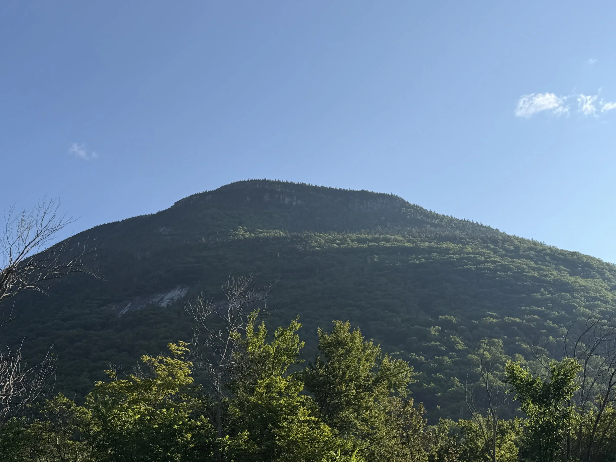 IMG_4117.jpeg