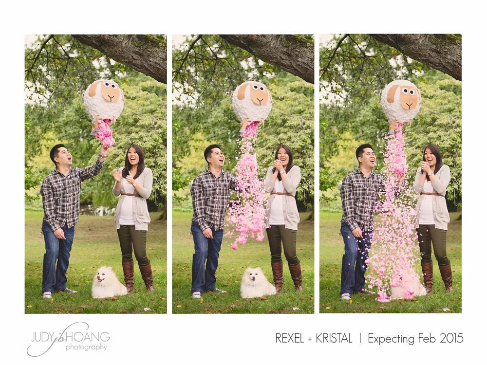 gender reveal photoshoot idea