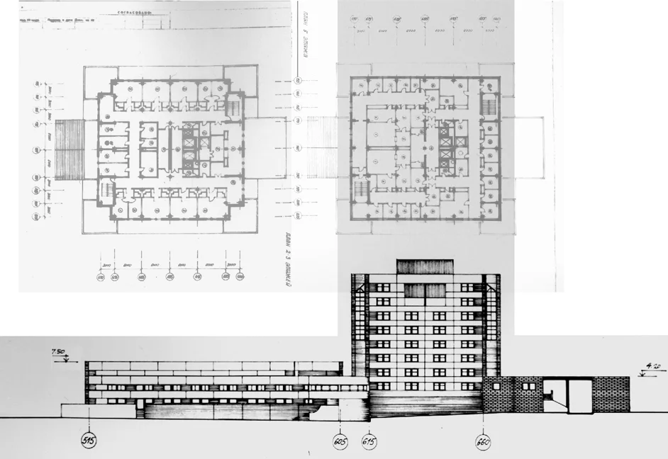 dwg-4.jpg