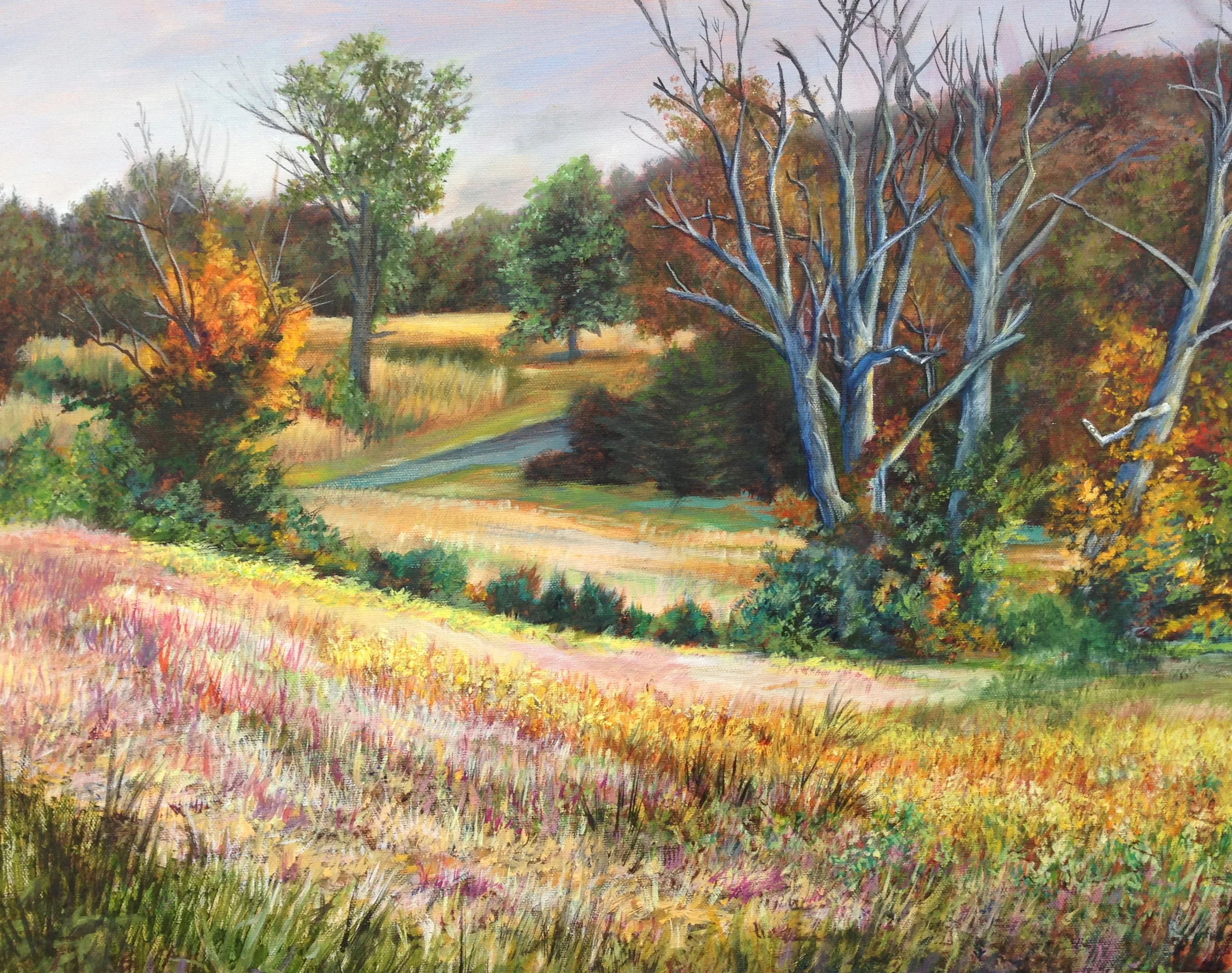 Gettysburg Battlefield Sycamores 20"x16"