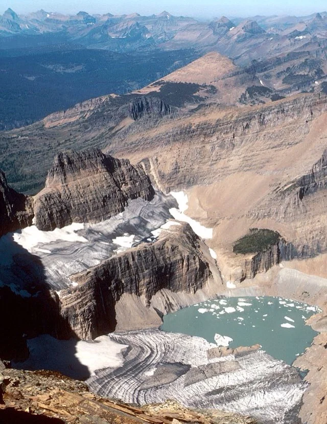 1981