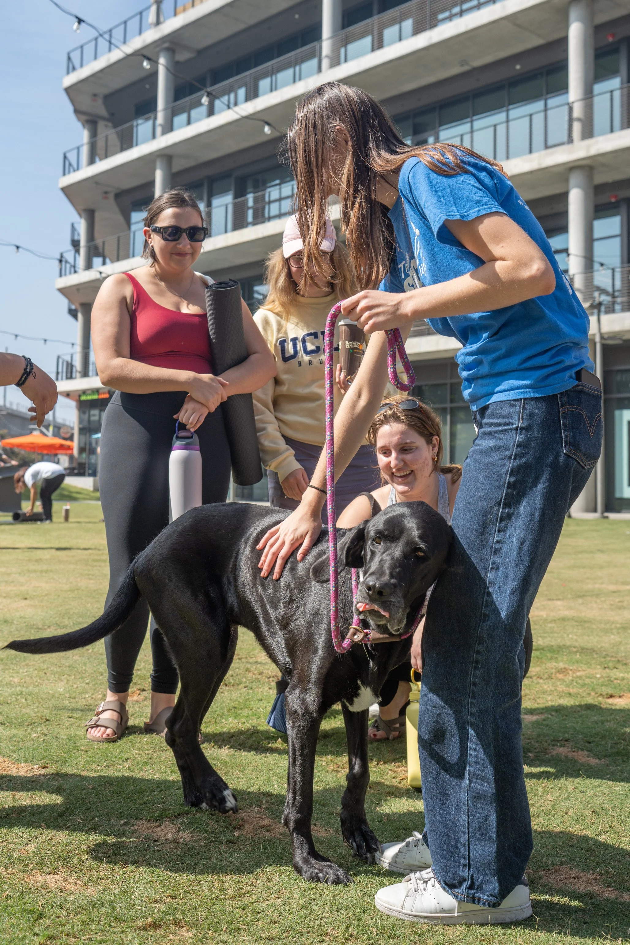 Barktober Yogadoption