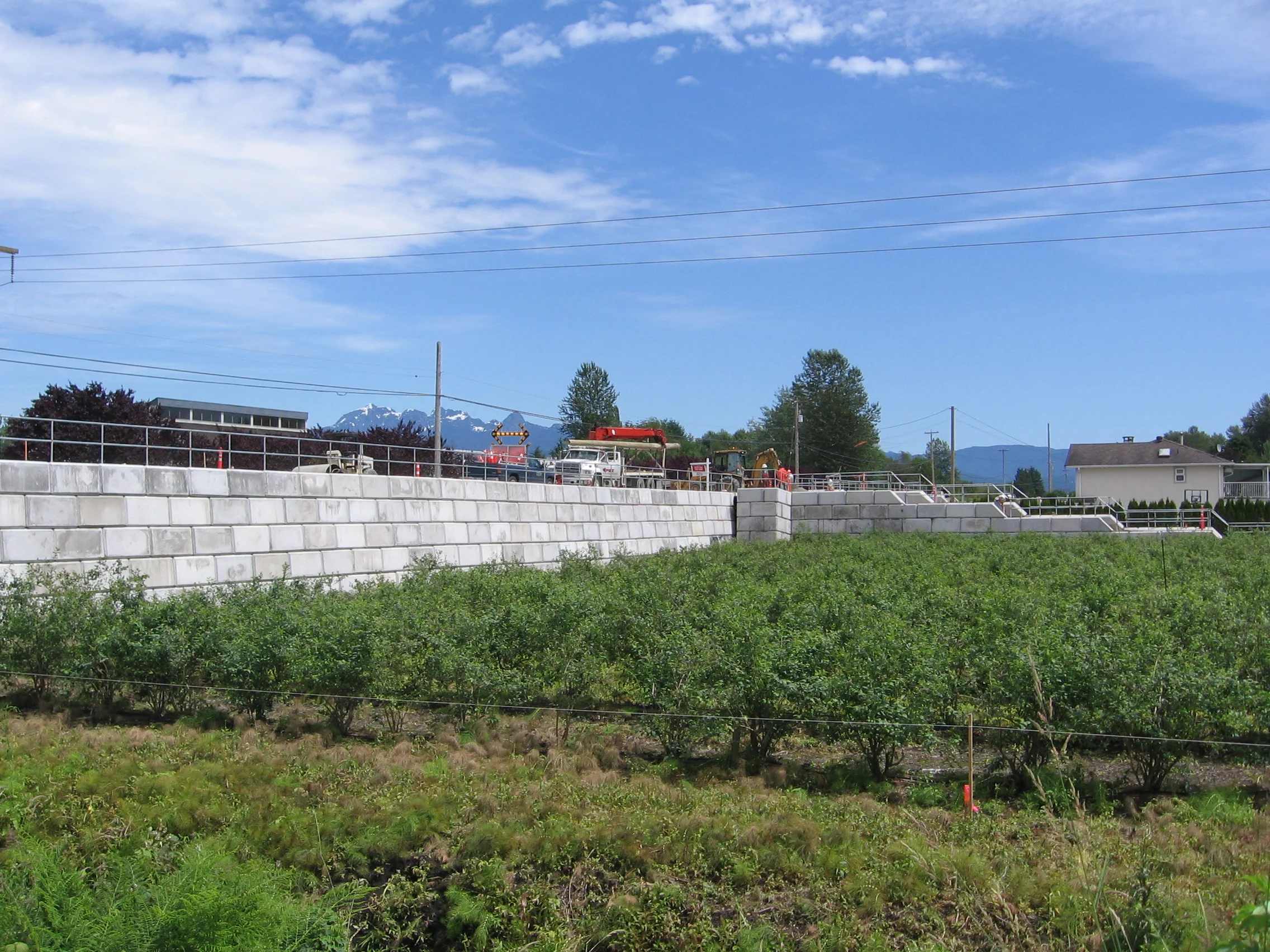 DOM JUNE252007_0010.JPG