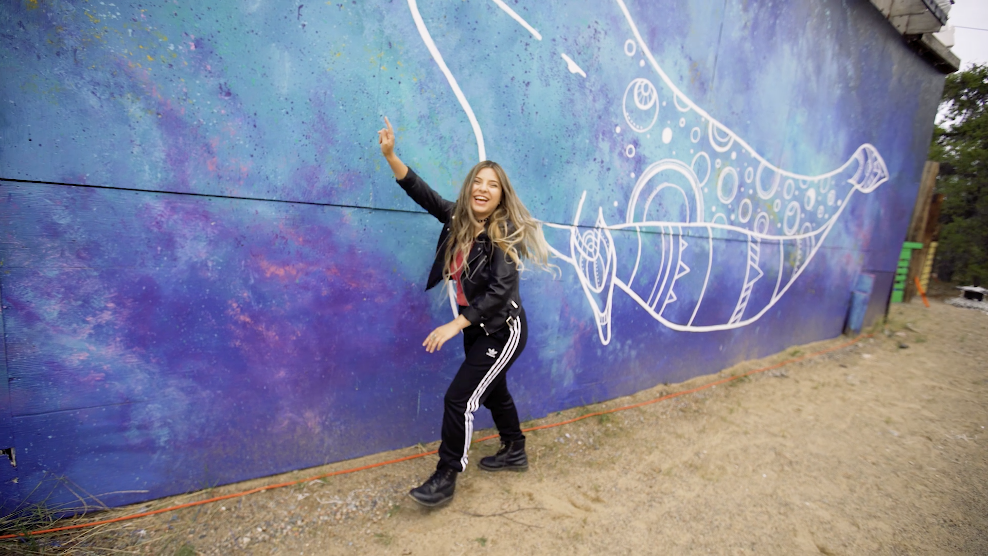 Monowhales in Yellowknife, NWT!