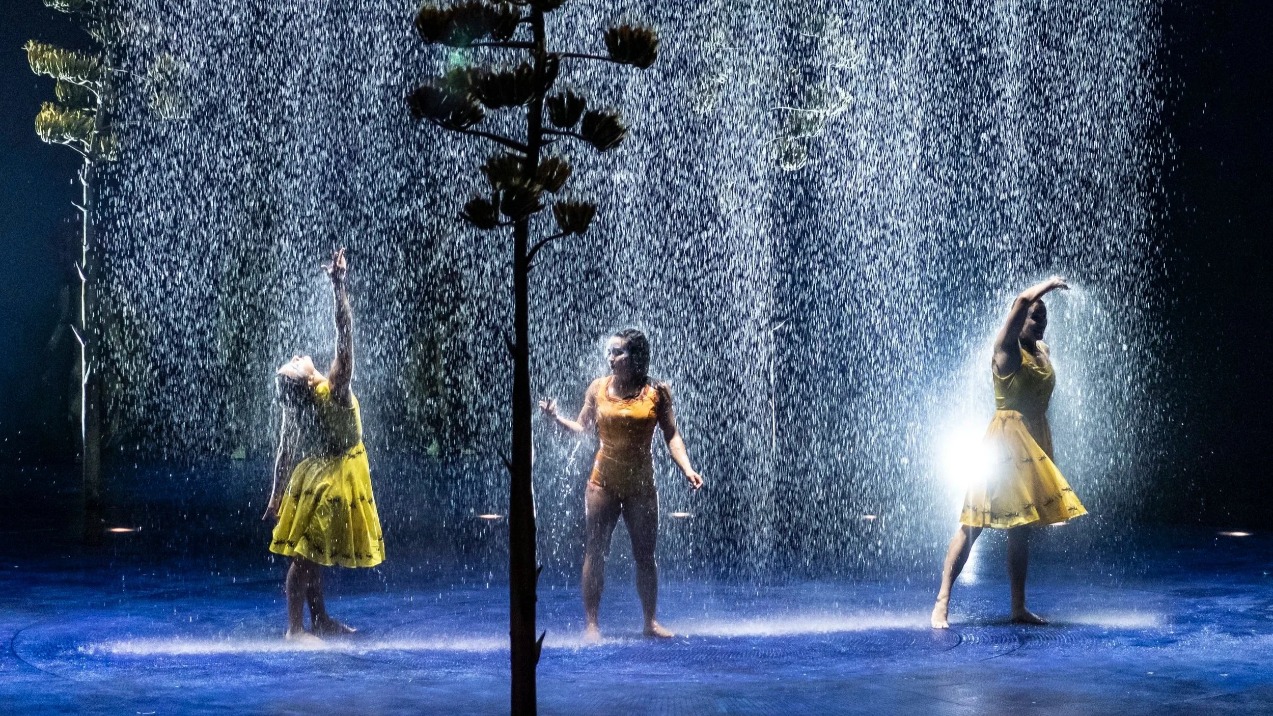 LUZIA by Cirque du Soleil - vox