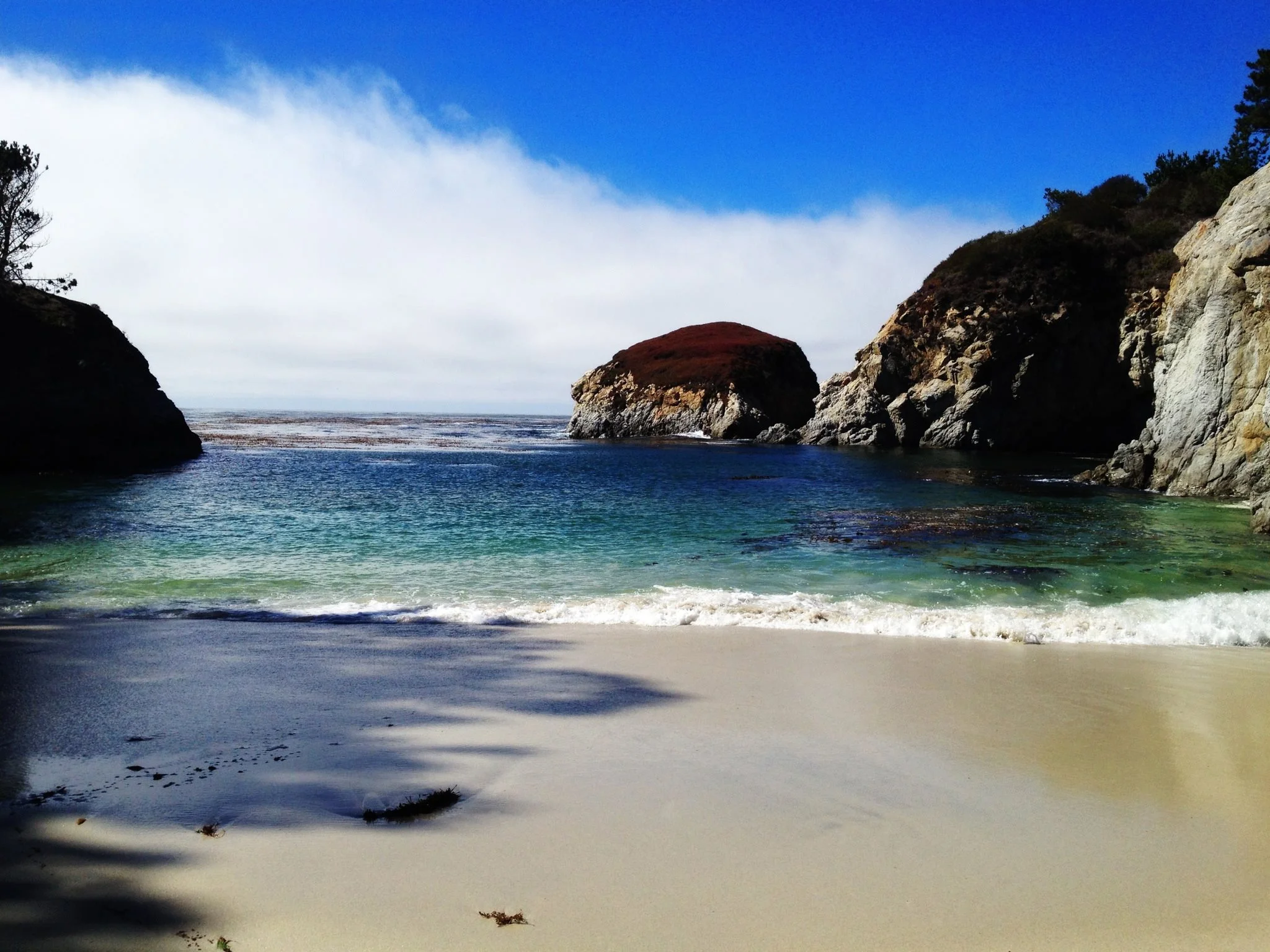 China Cove, Point Lobos, Ca