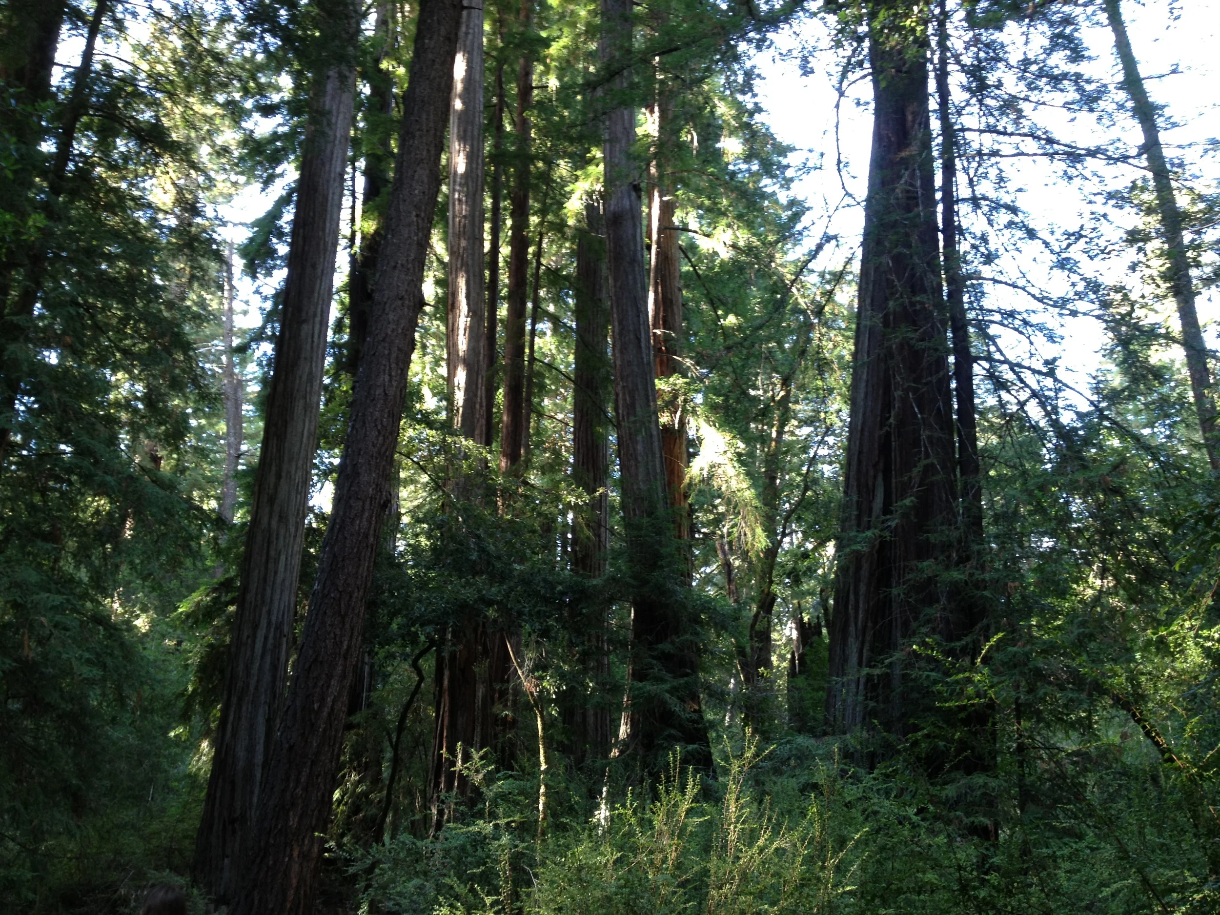Are you bound by four walls? Getting Back To Nature.