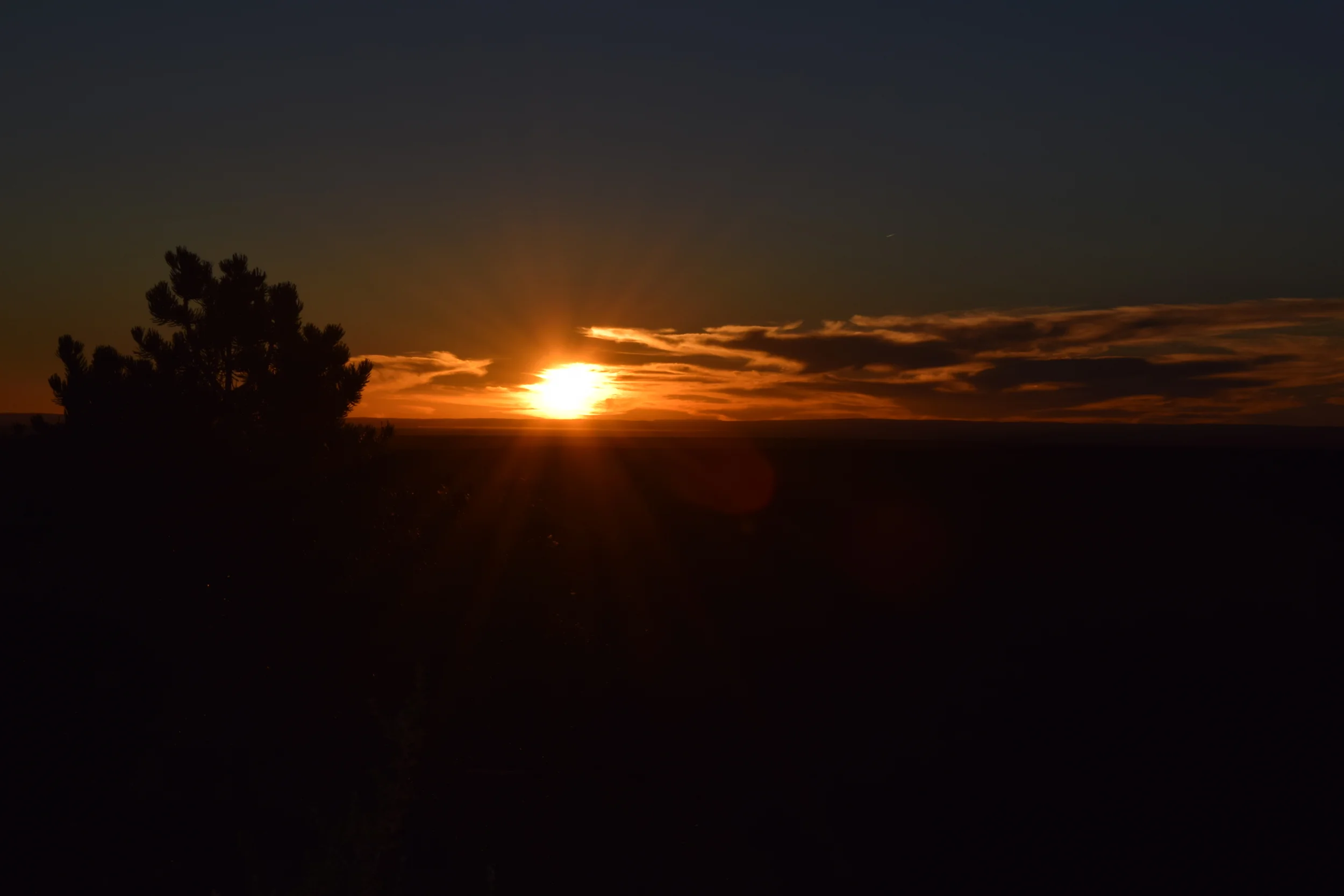 DSC_1025.JPG