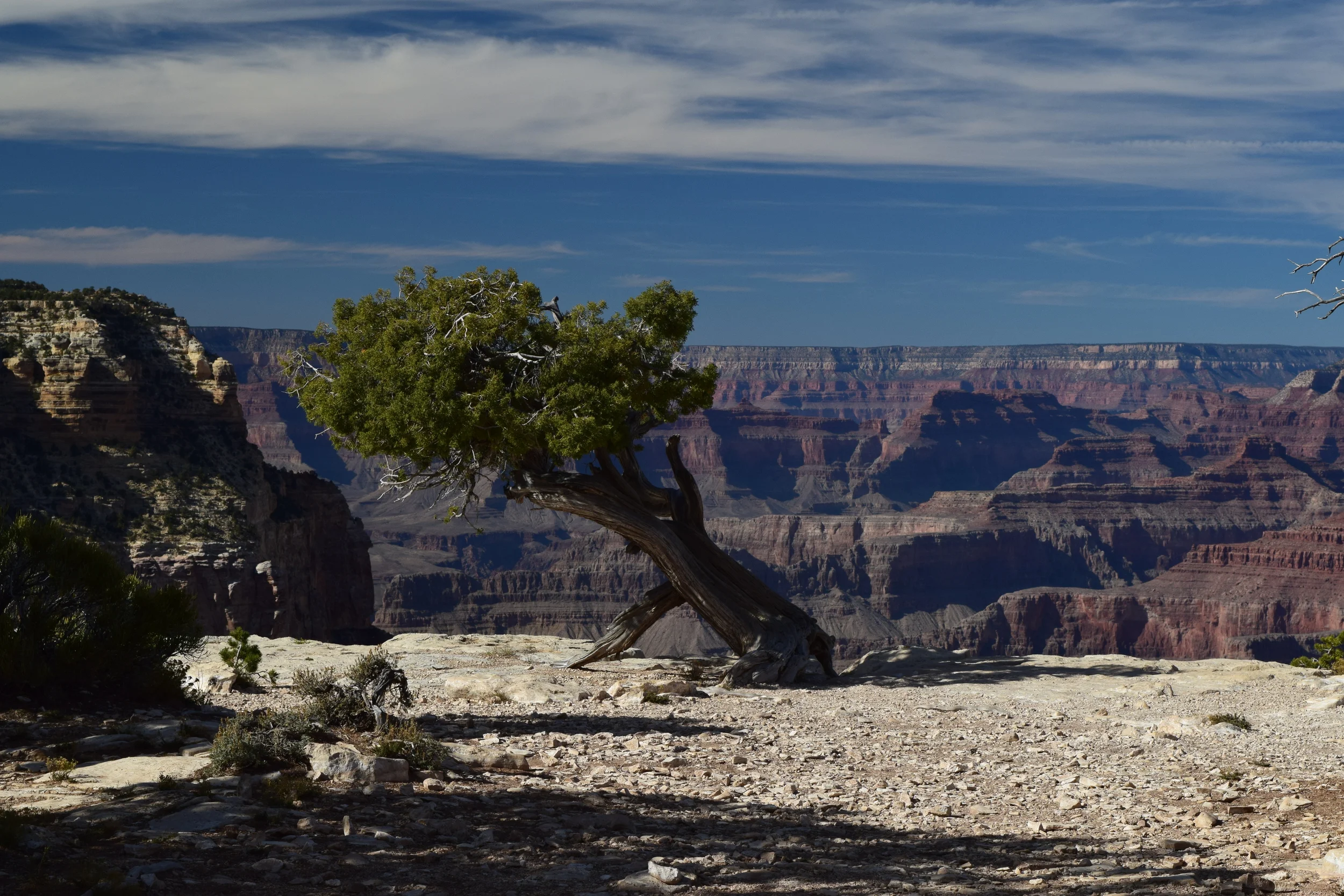 DSC_0883.JPG