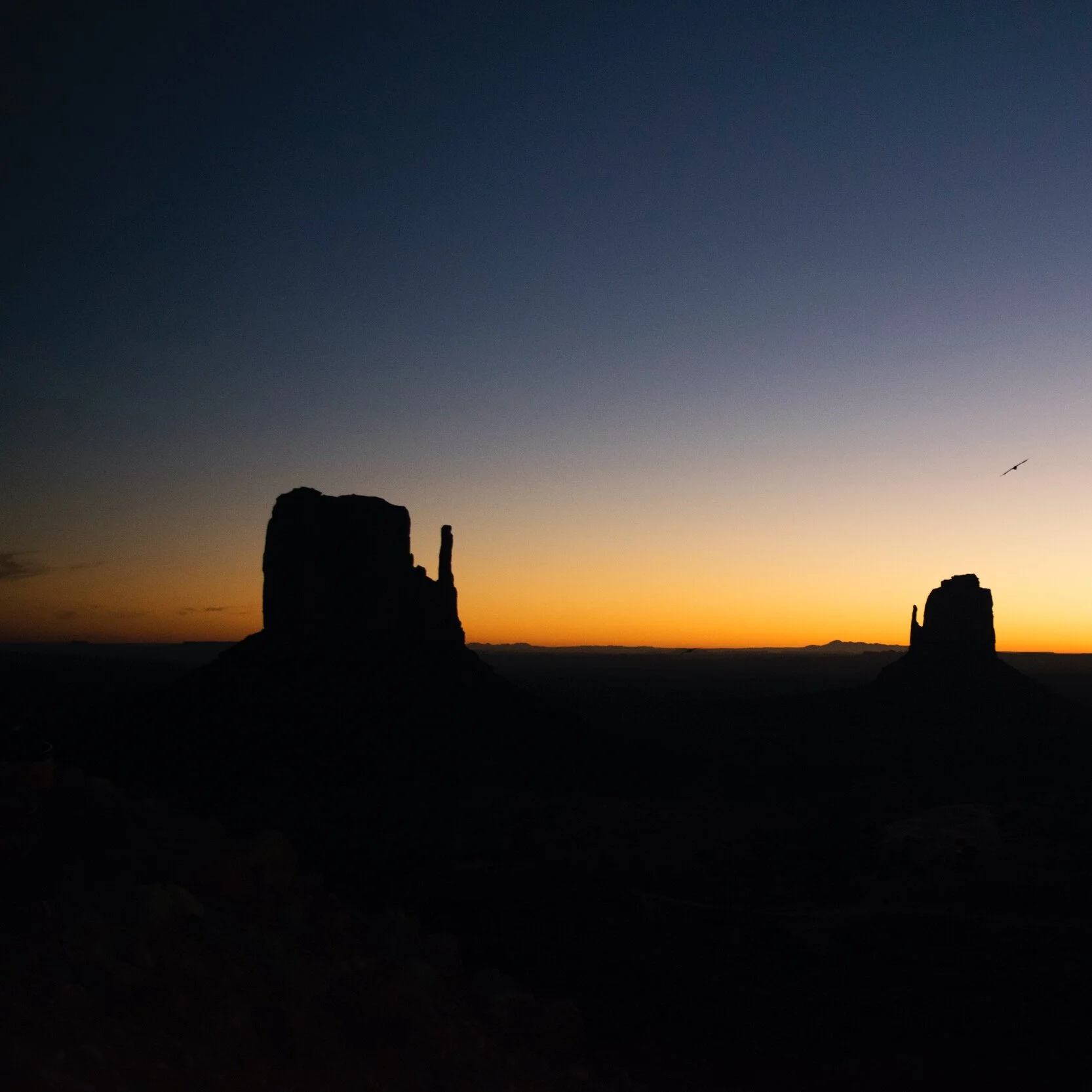 Sacredness Of The Human Body