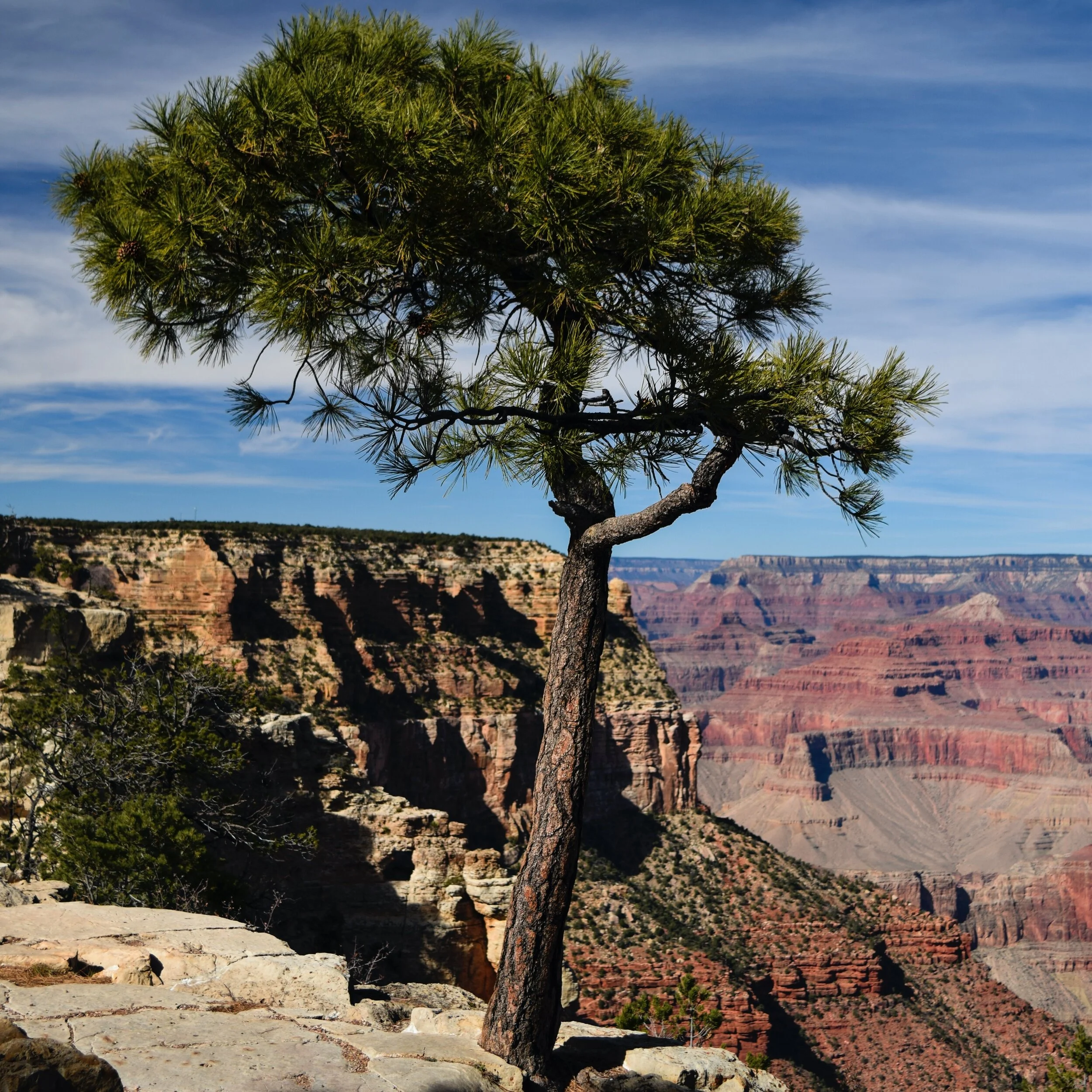 Epiphanies on spiritual path