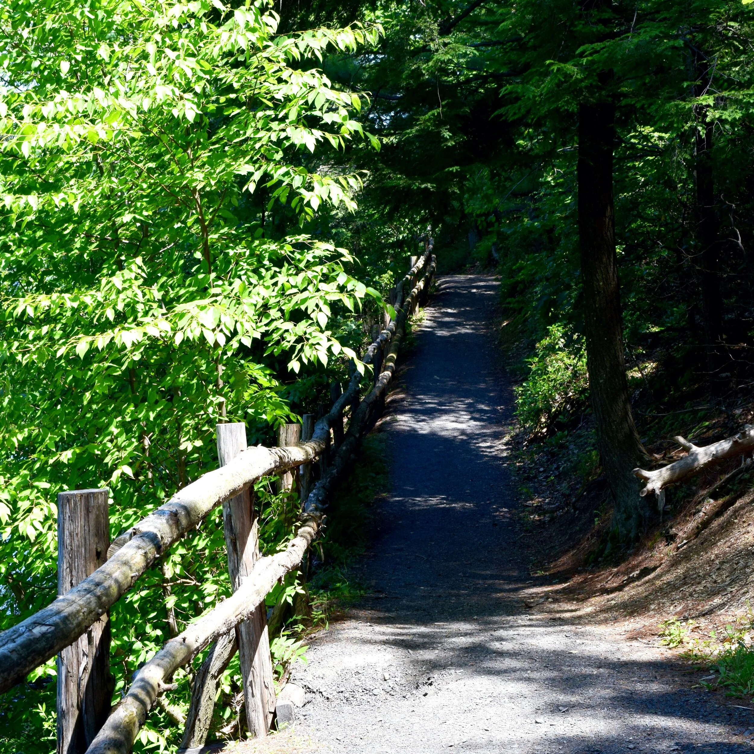 Soul's Path