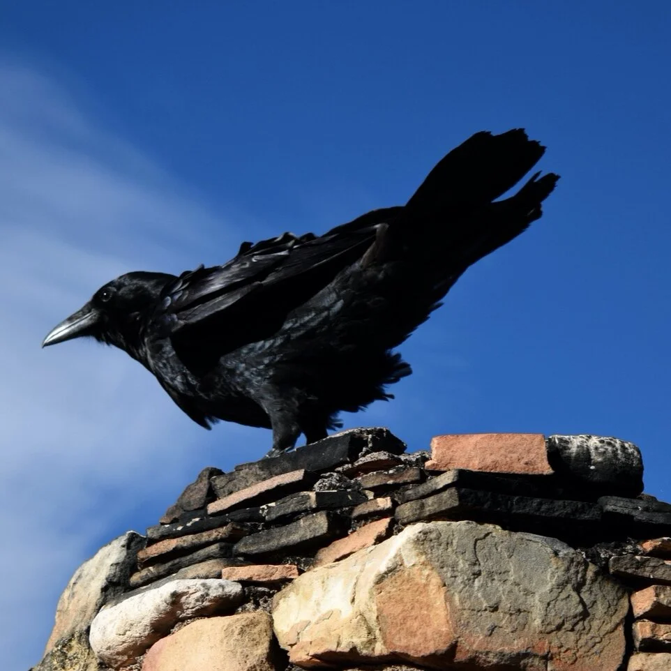 Know Thyself. Embarking on a quest to self-knowledge