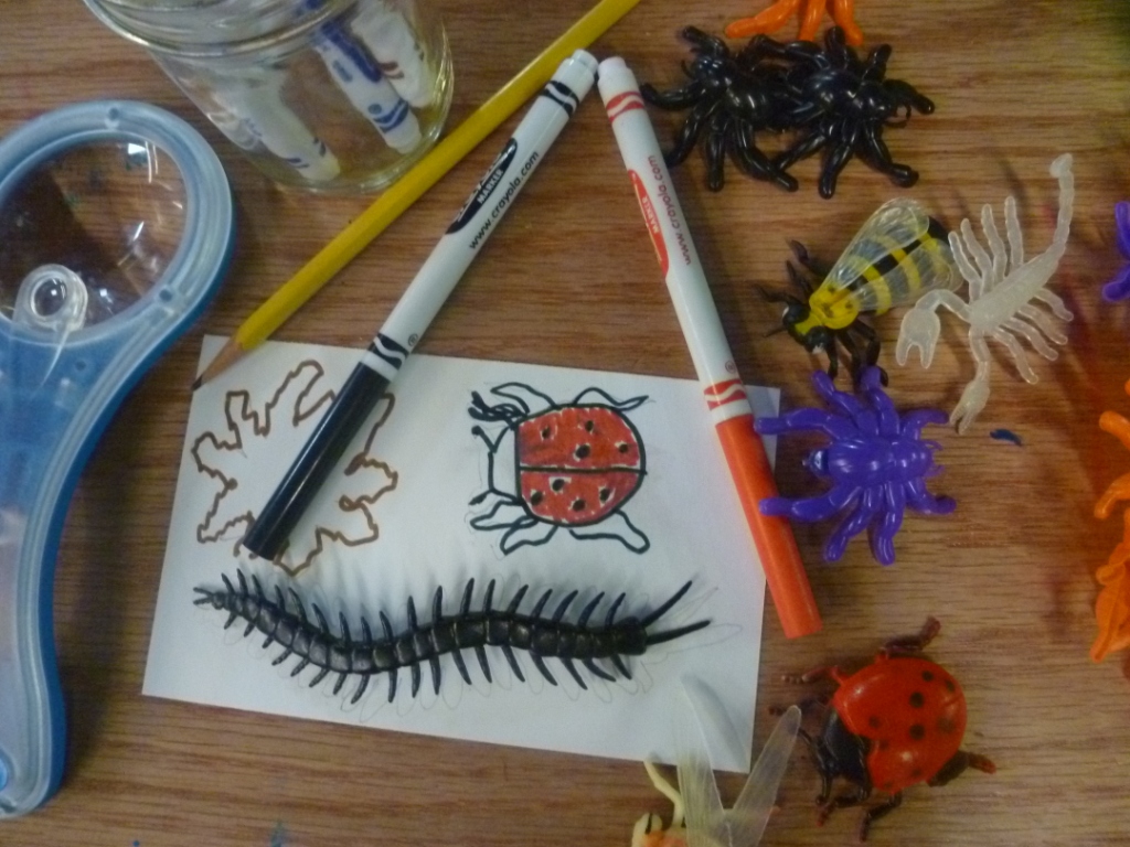 tracing and coloring bugs with markers