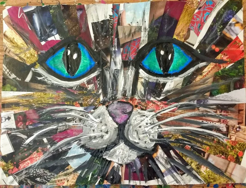 collageanimalfaces.jpg