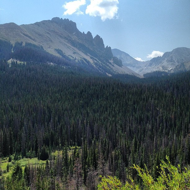 2012-08-14_1344980067.jpg