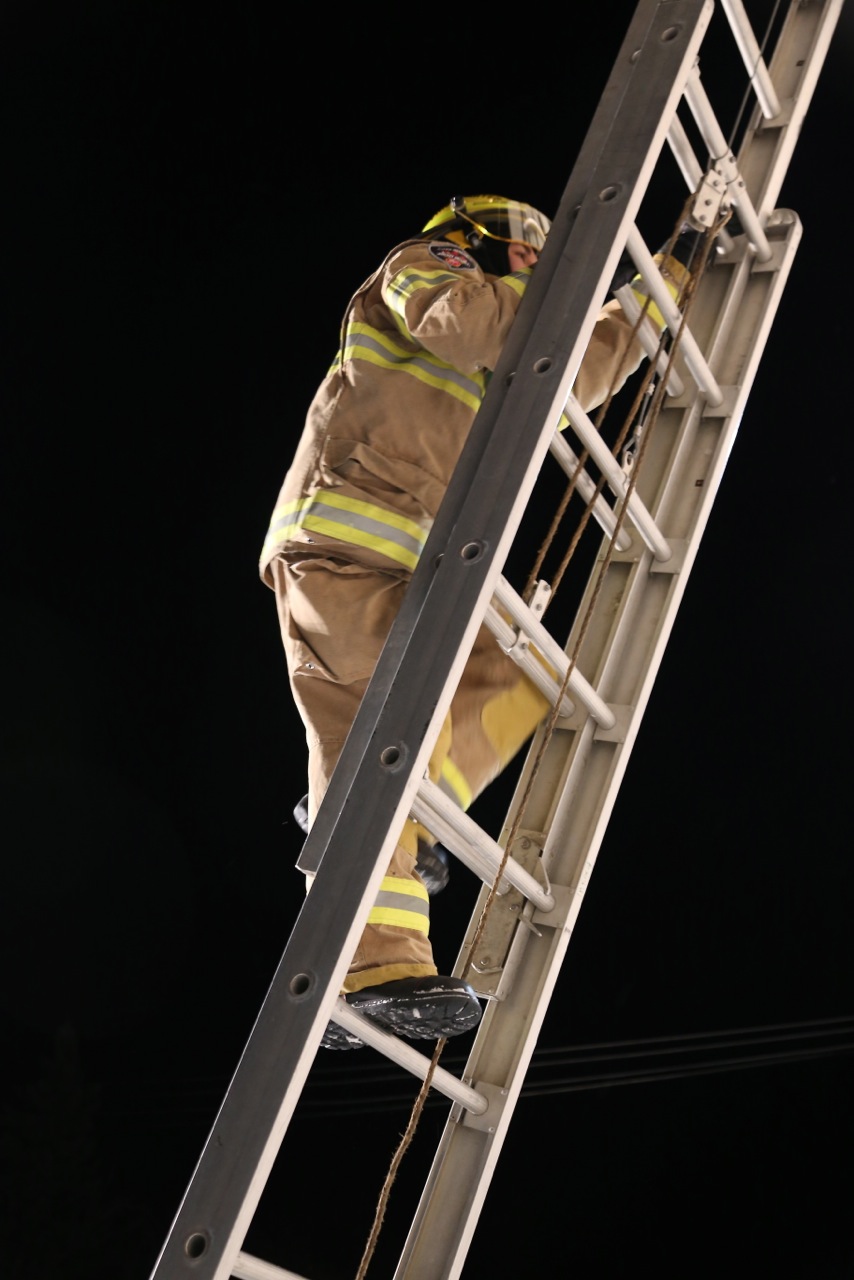 New BFD member Alyssa Hyink